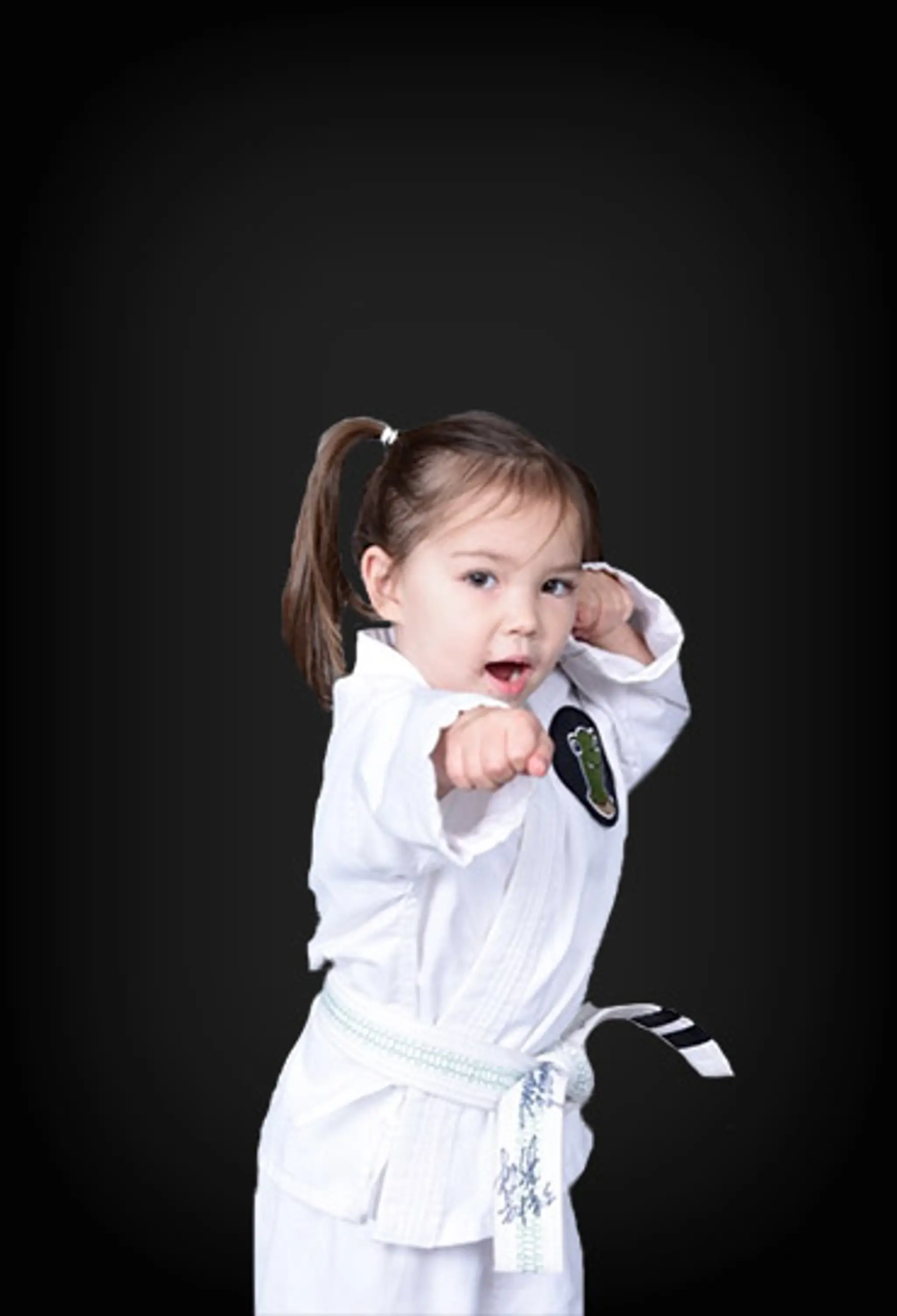 Cloverdale Black Belt Academy