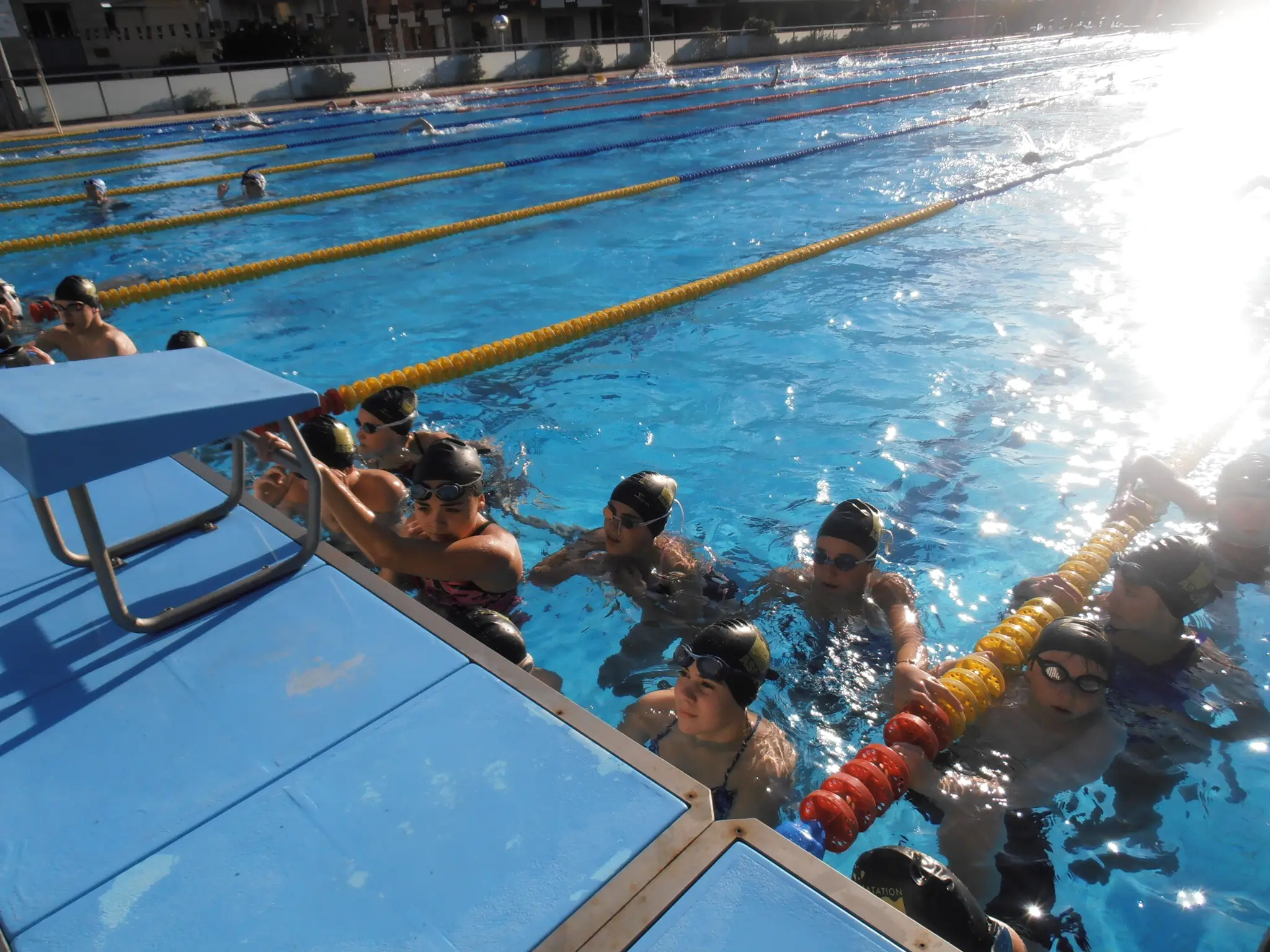 ASCPA Natation