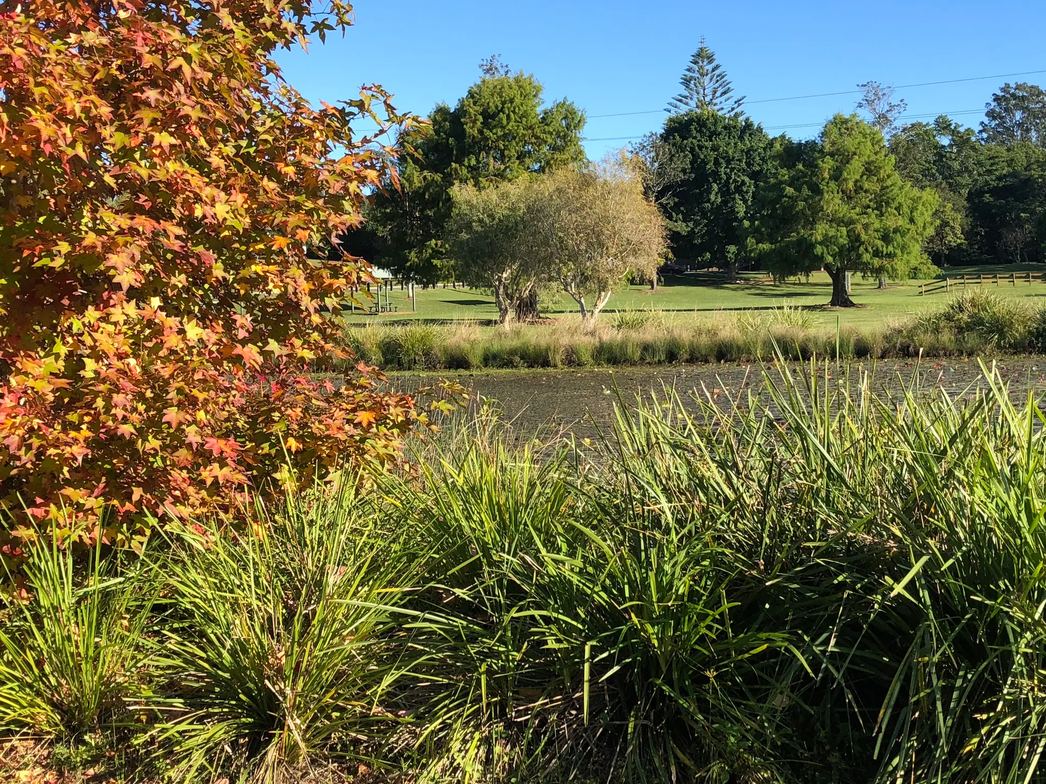 Range Community Gym & Fitness Centre (Mapleton)