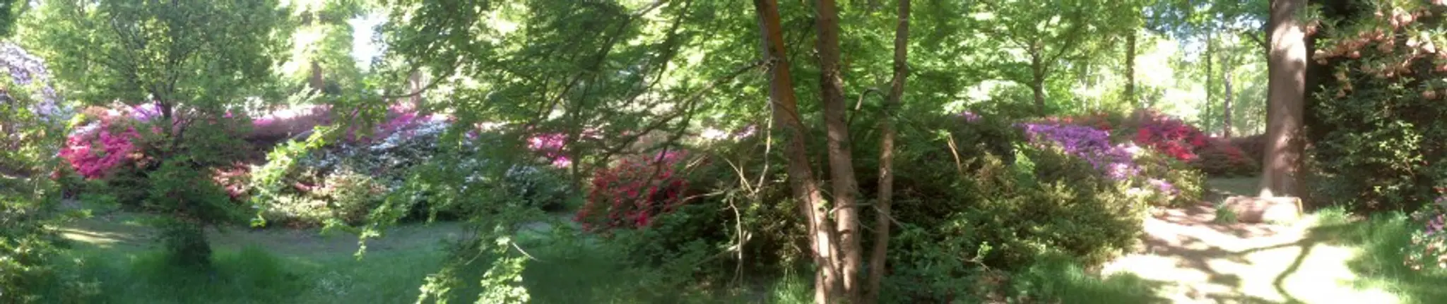 Tai Chi at Garden LTC