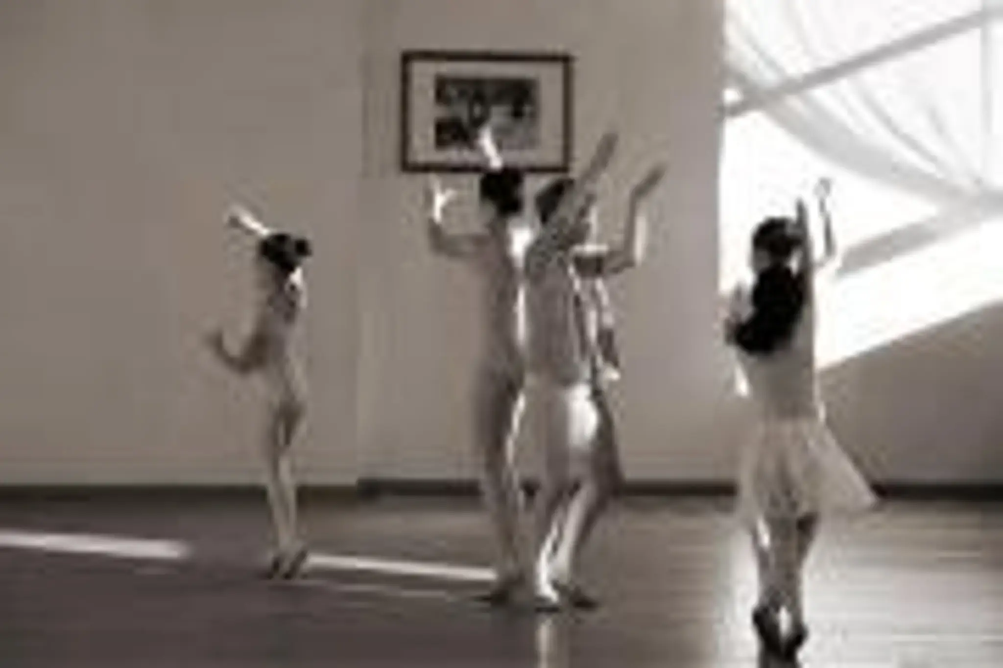 Harlequin Arts Academy