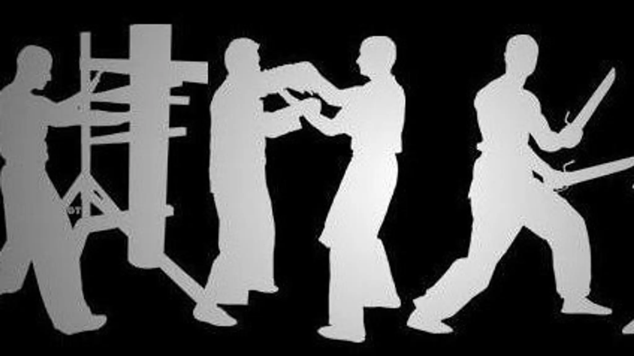 SYSTEMATIC WING CHUN