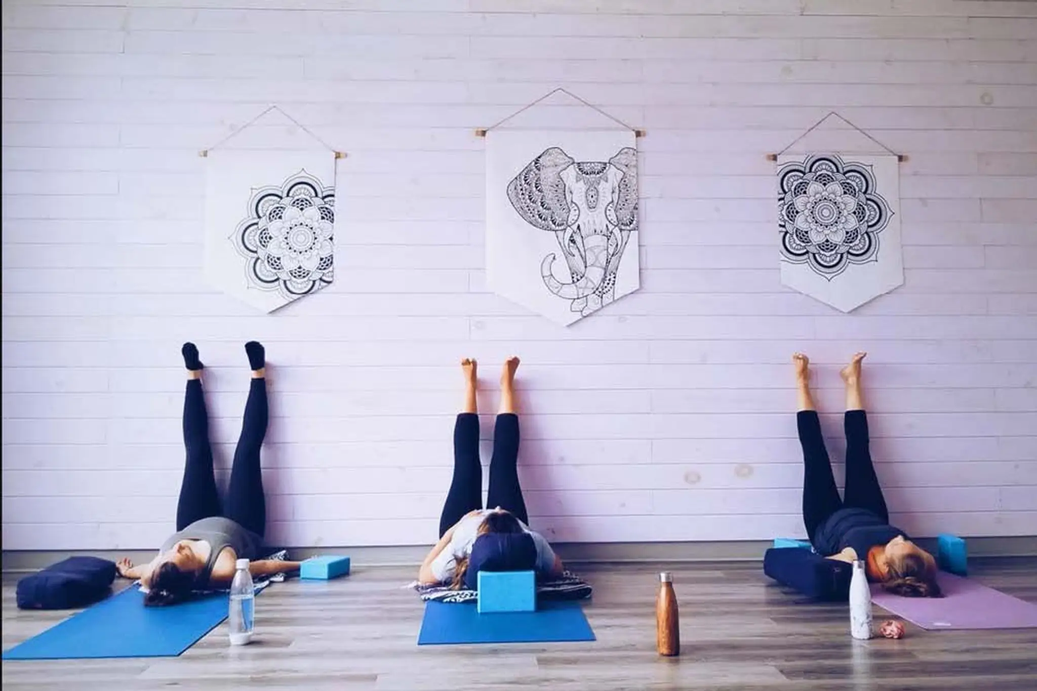 Bougeotte et Placotine Saint-Jean