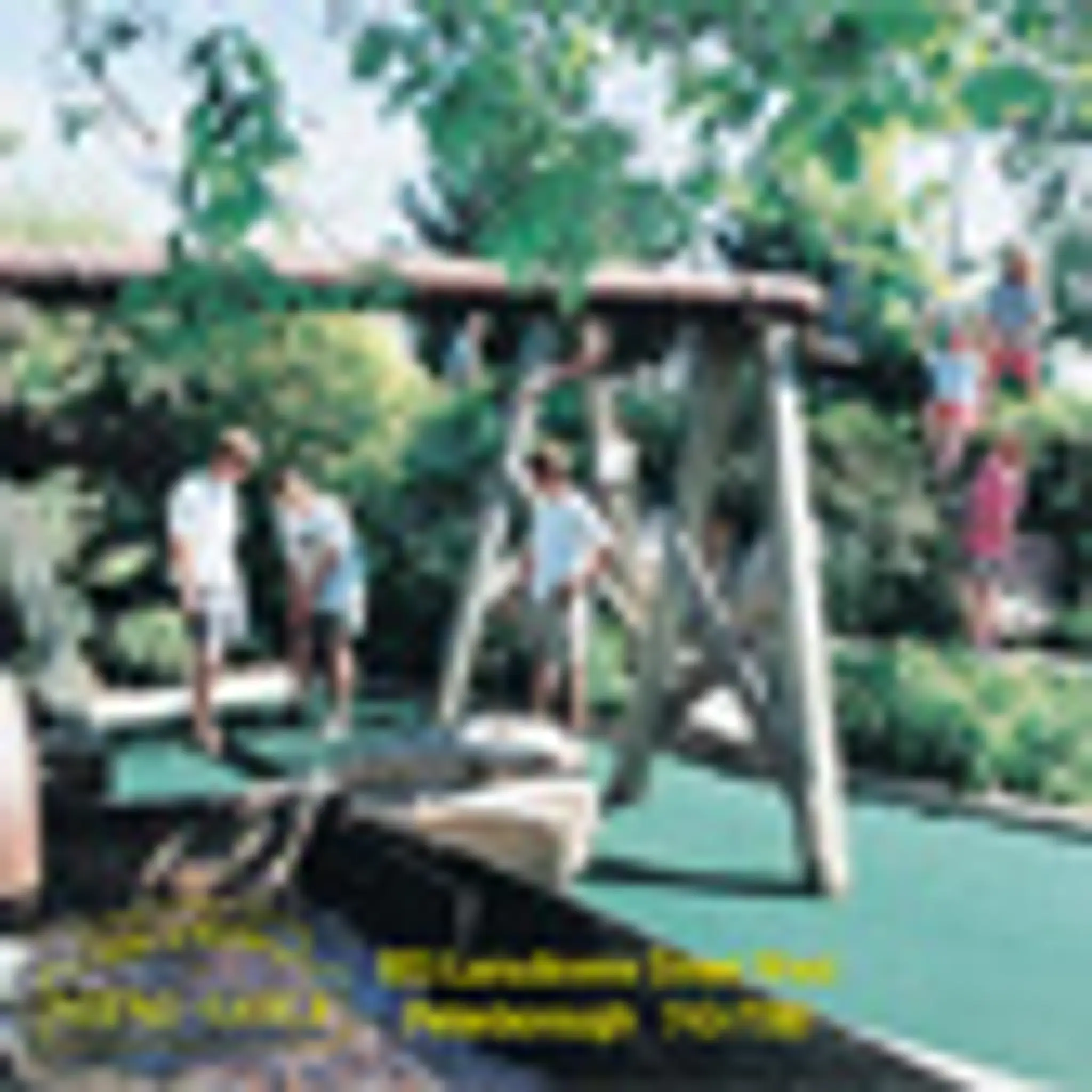 Milltown Mini Golf Family Fun Centre