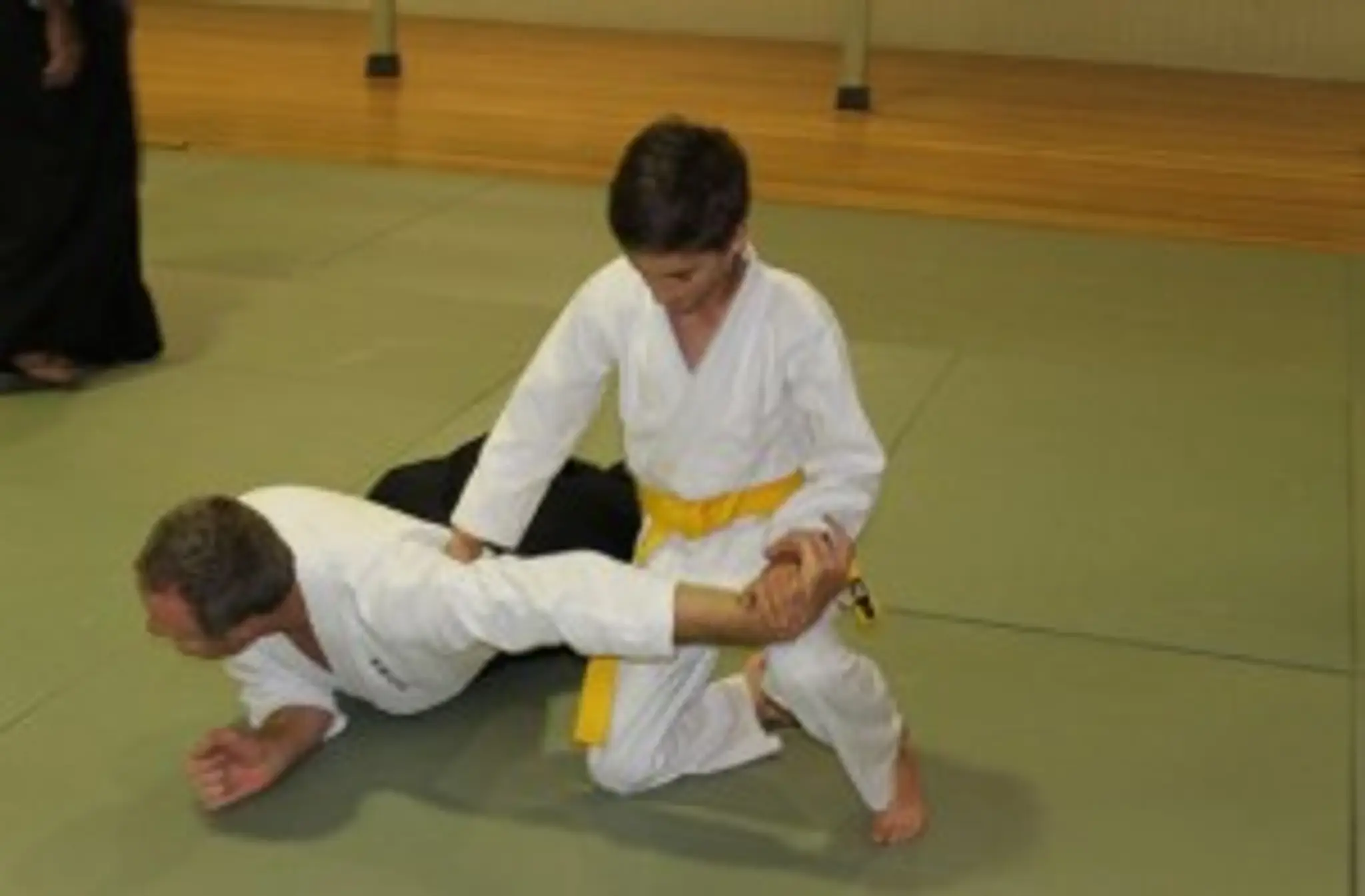 Takemusu Aikido Kai - Redlands Dojo