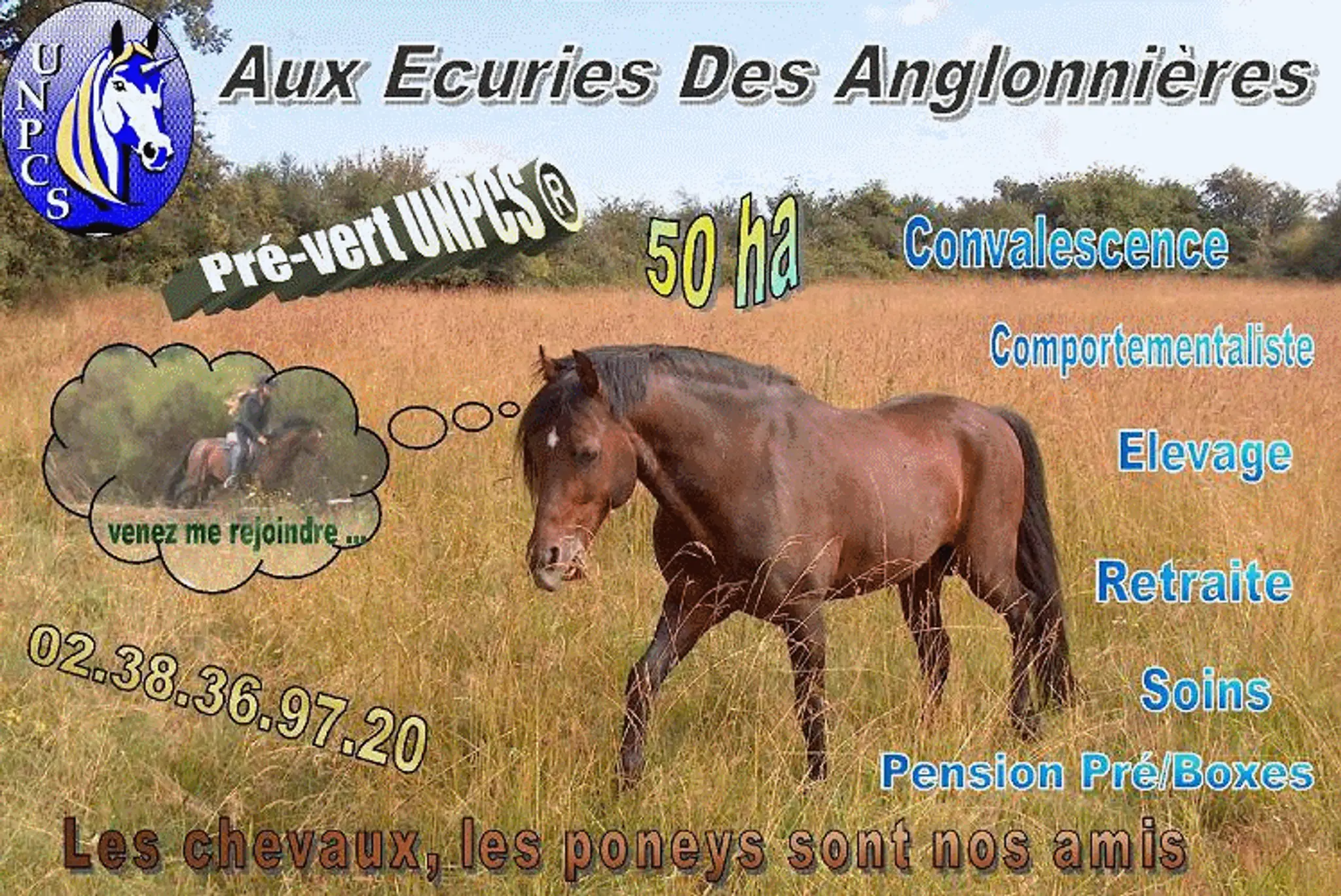 Aux Ecuries des Anglonnières