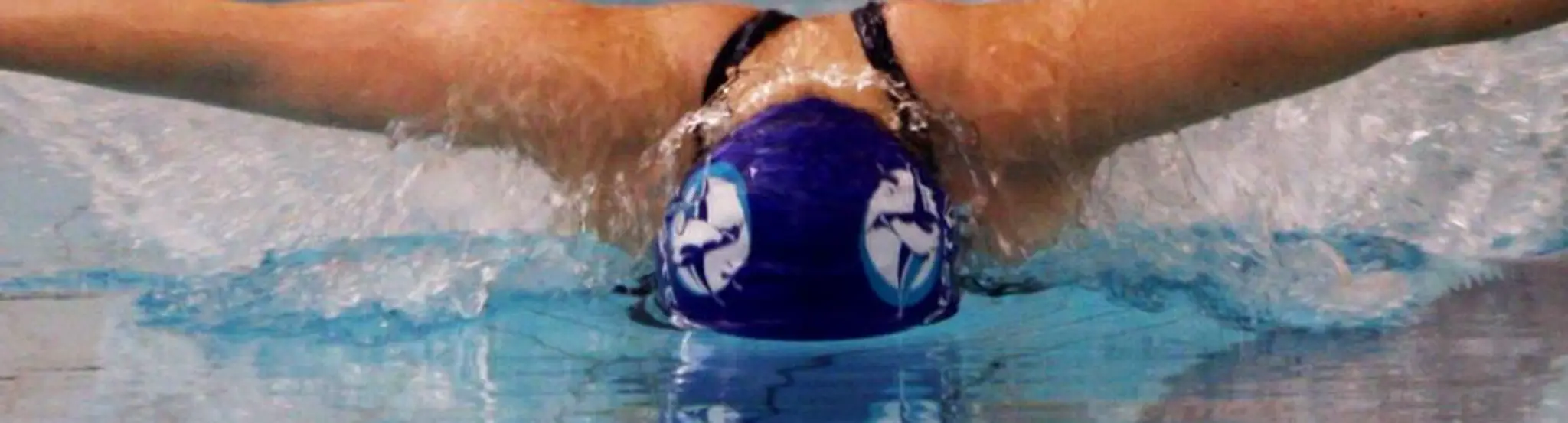 Halstead Swimming Club