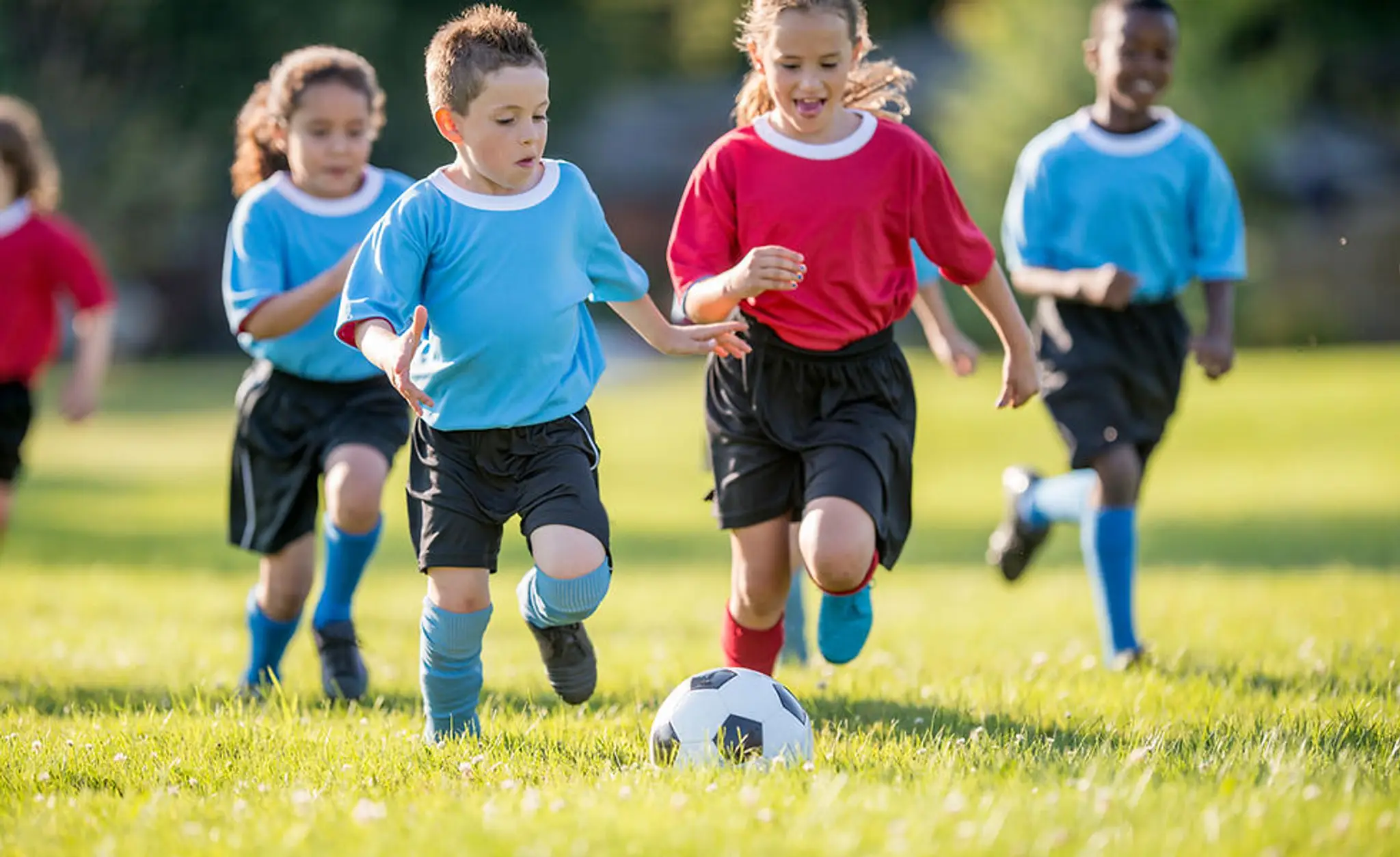 Brodie Lodge Playing Field