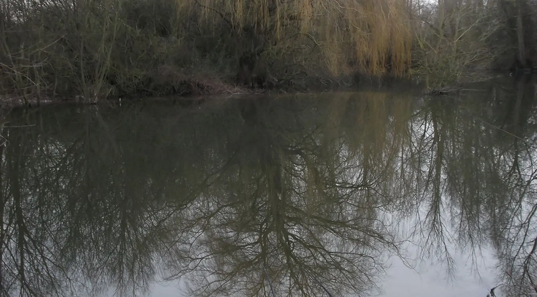 The Royston And District Angling Club