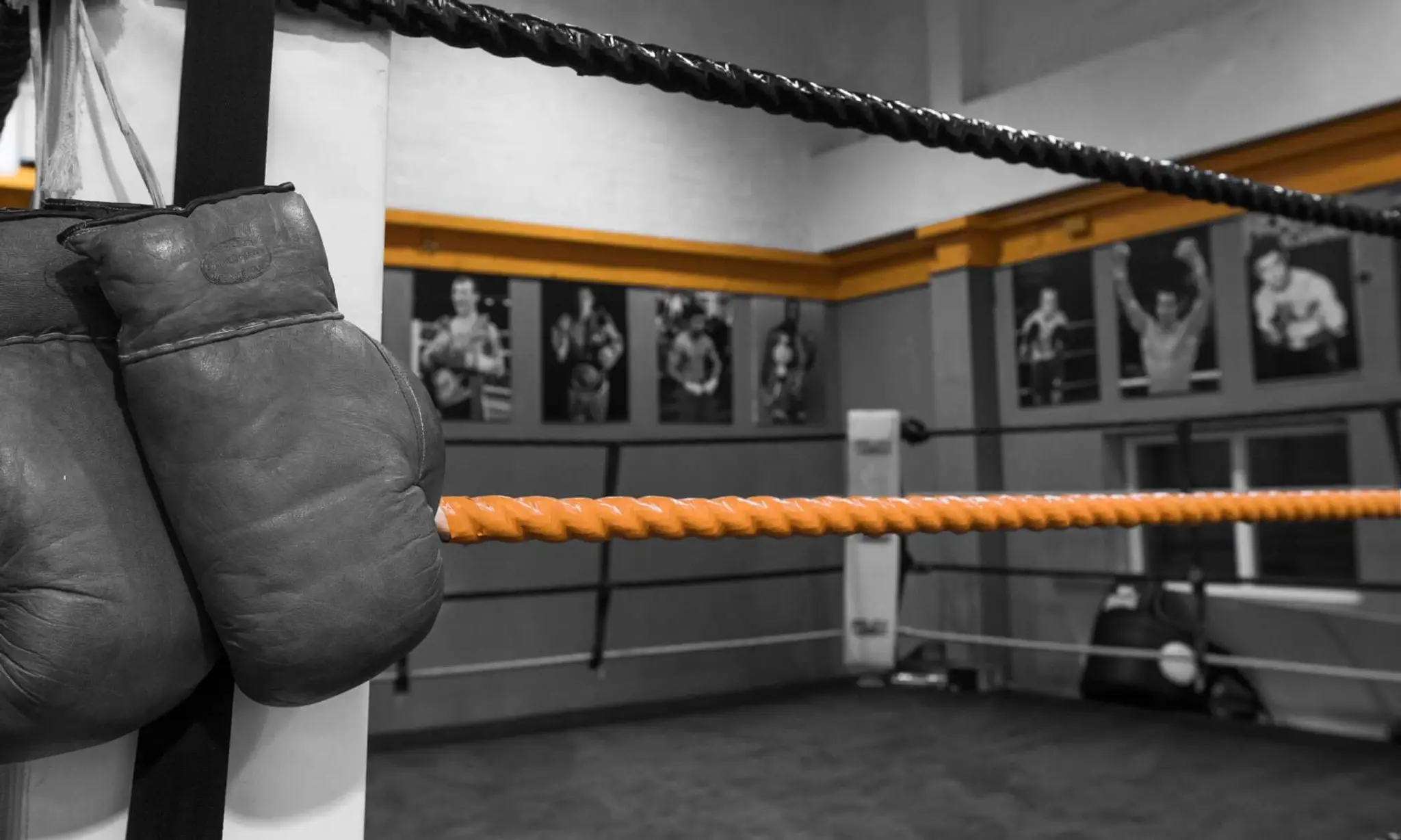 Andy McLeans Boxing Gym