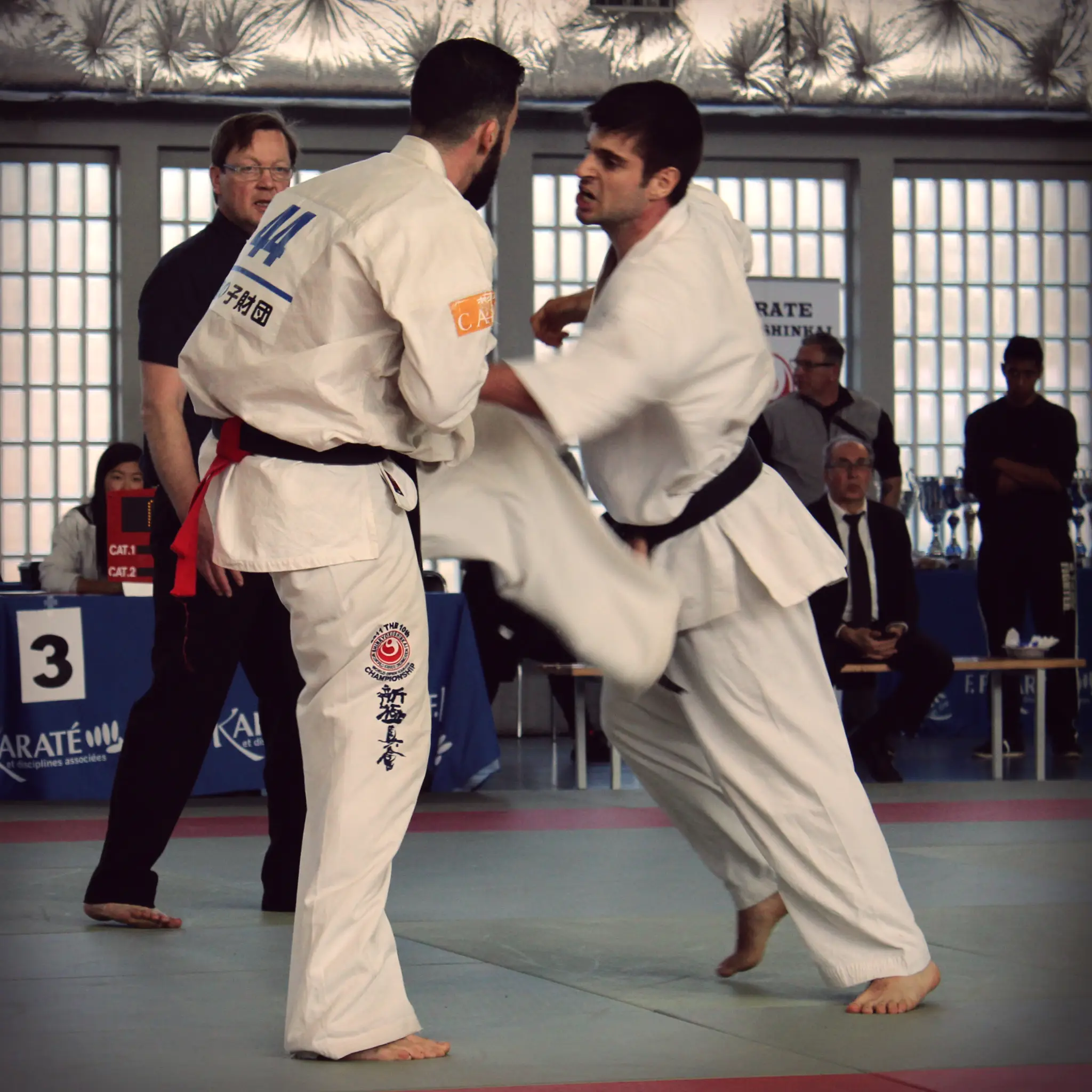 Santes Karate Kyokushinkai