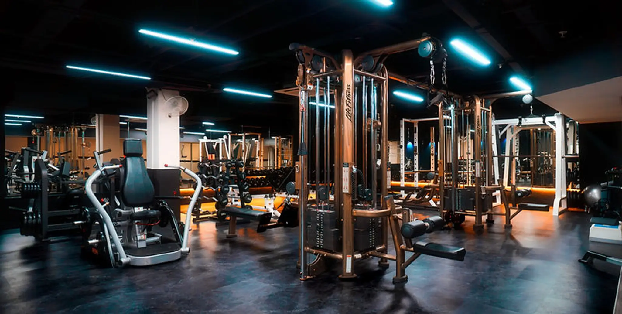 Unstoppable Fitness
