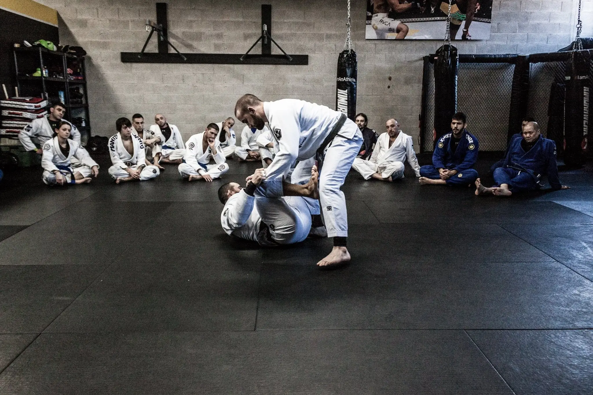 905 Brazilian Jiu Jitsu