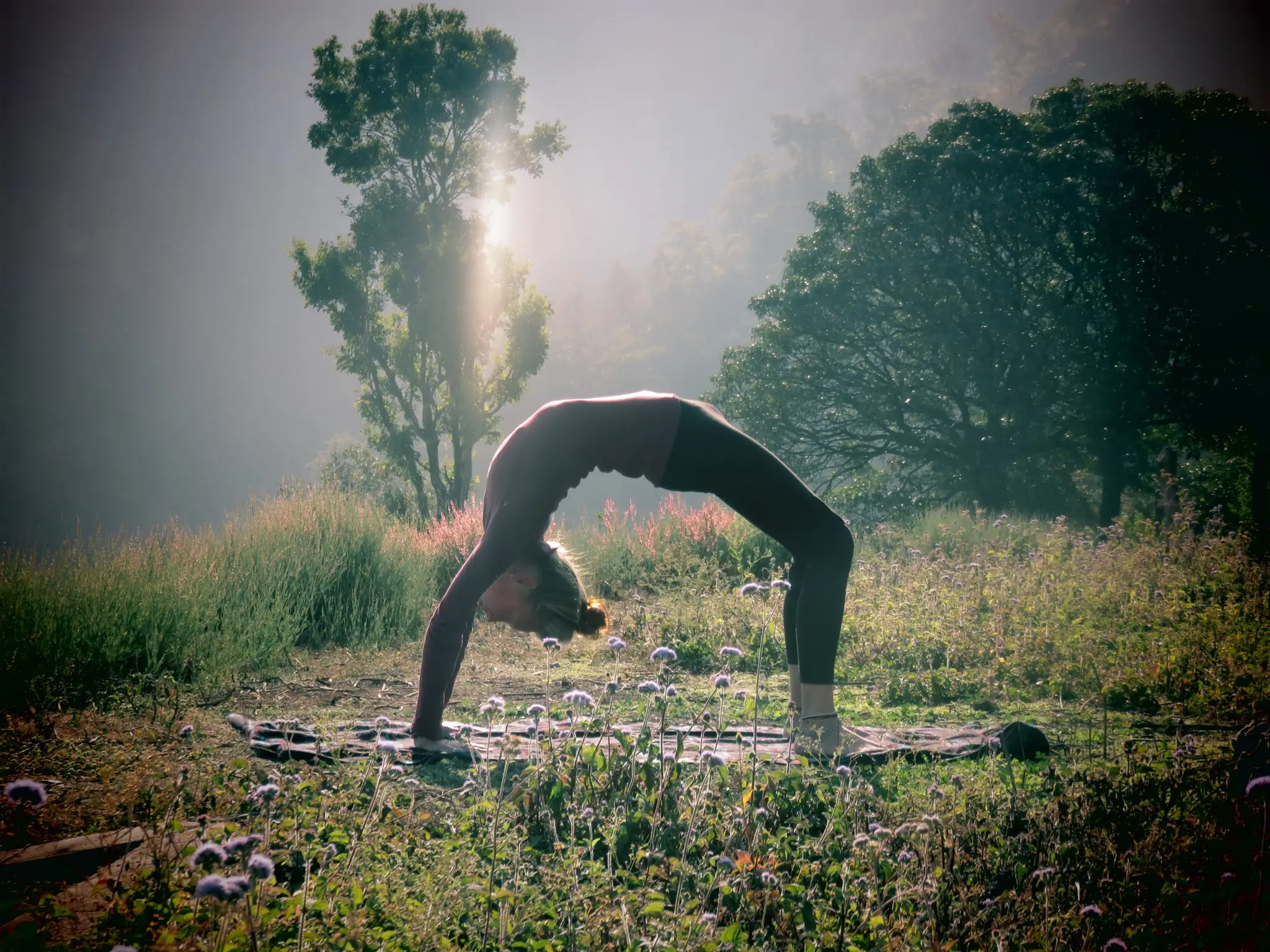 Music Teacher, Yoga Instructor, Anna Ling