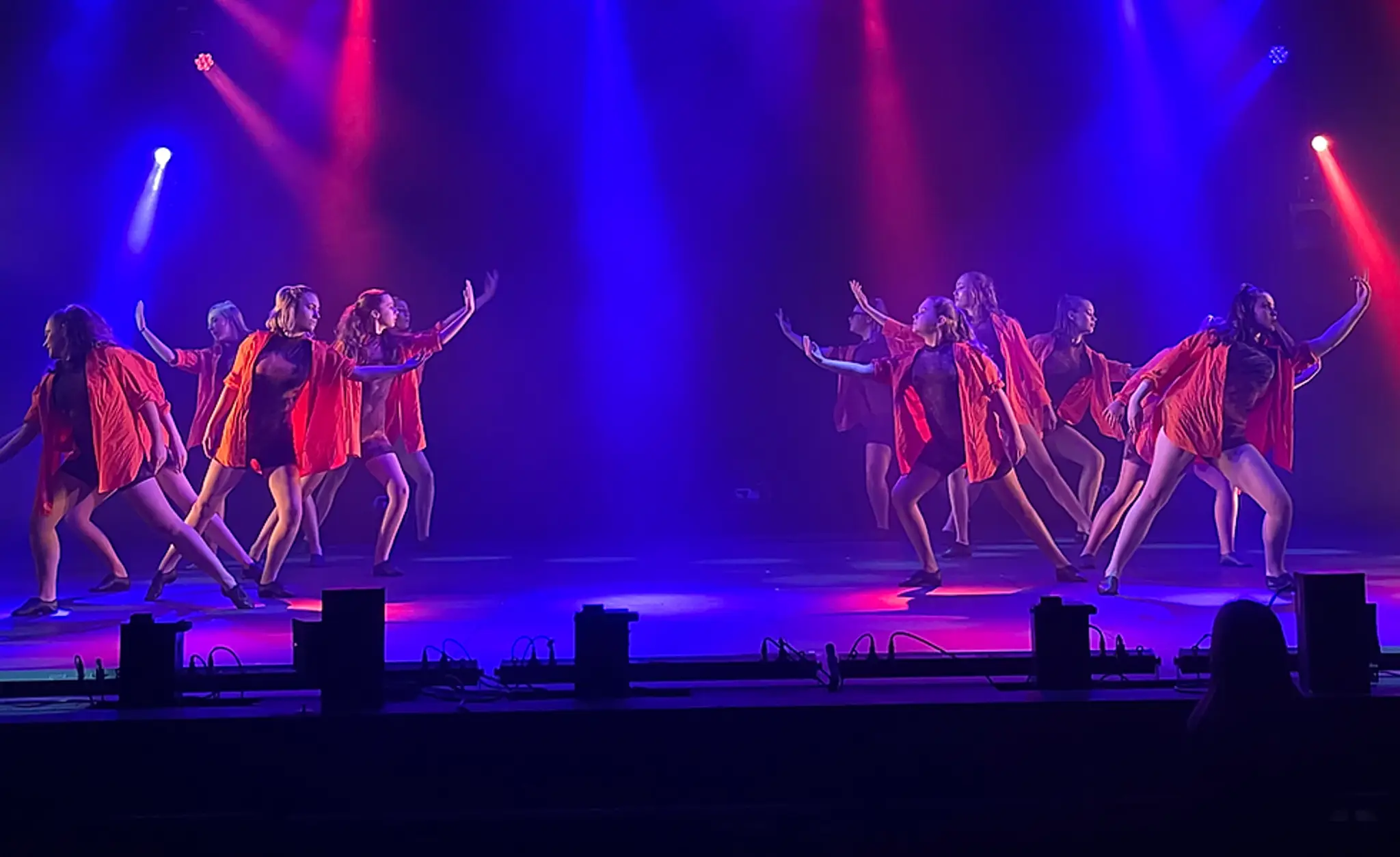 The Academy for Performing Arts