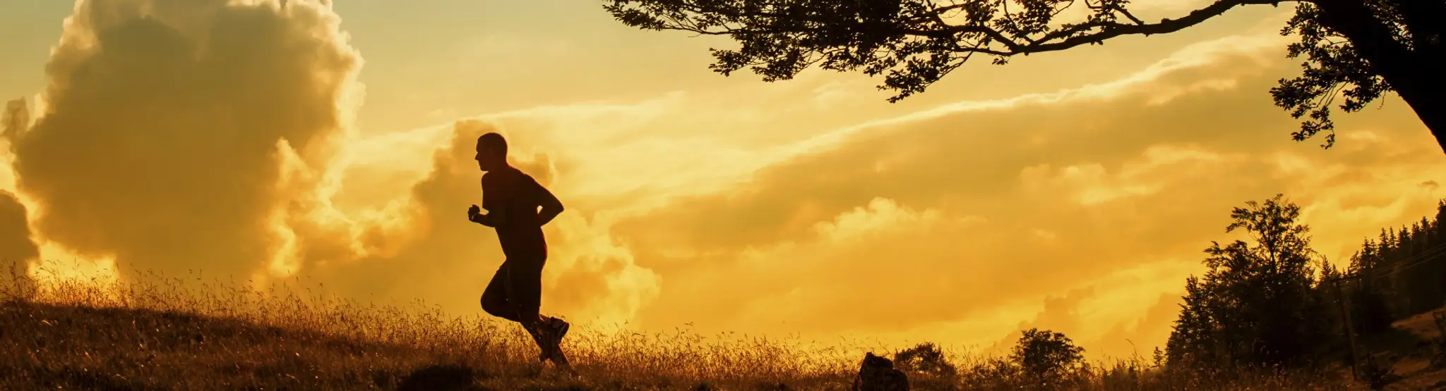 Southview Chiropractic