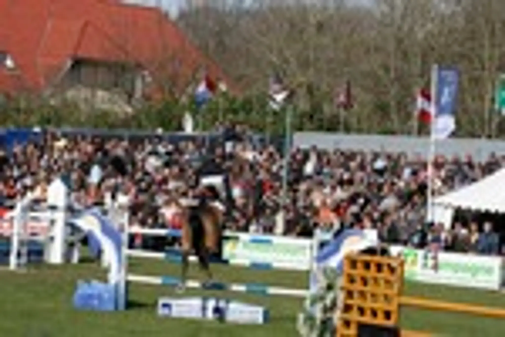 Horseback riding Hardelot