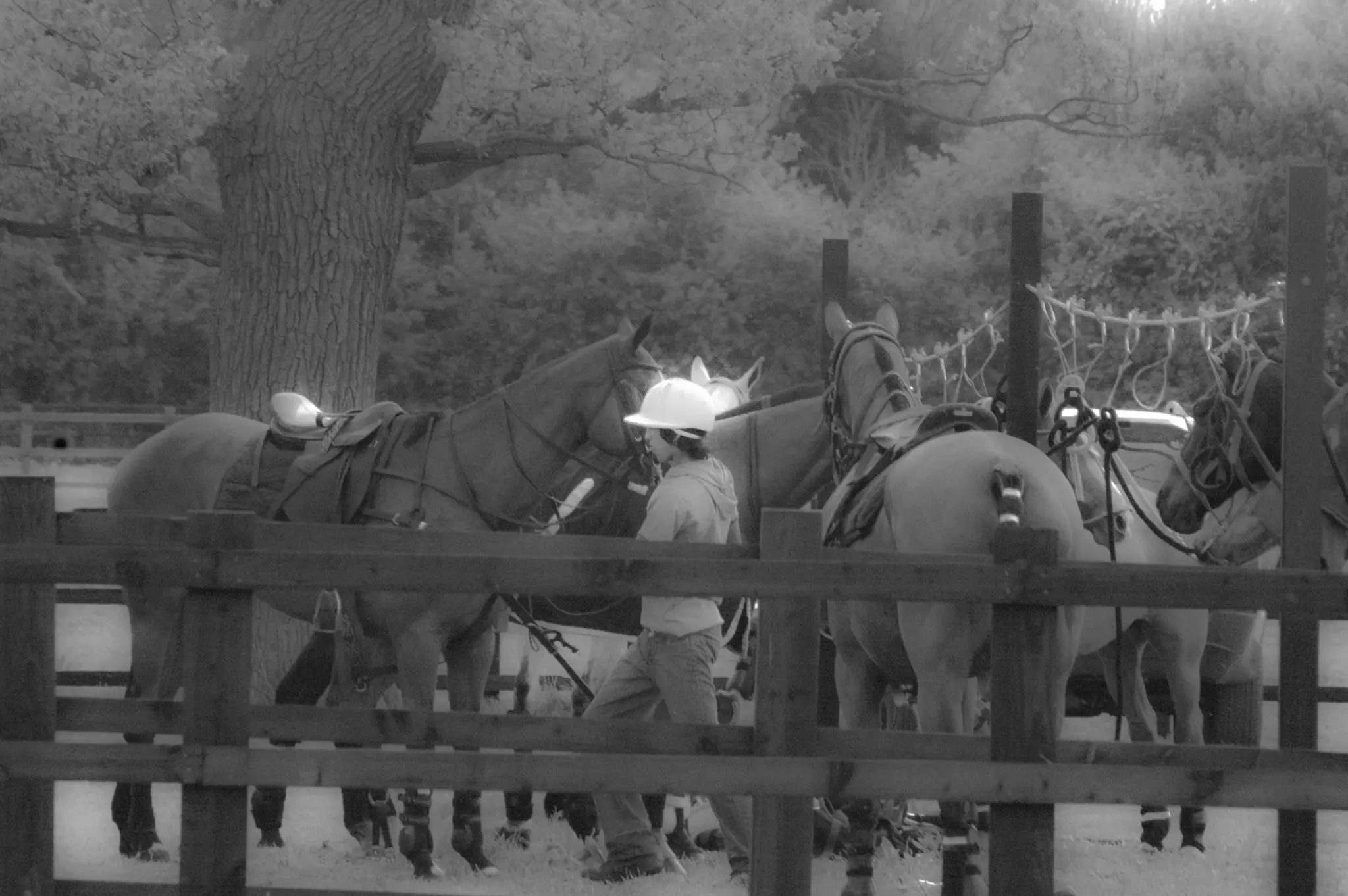 Ranelagh Farm Polo Club