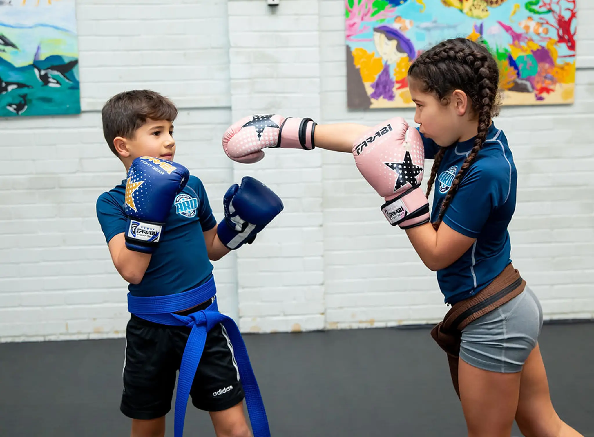 Alfie Davis Kickboxing Academy