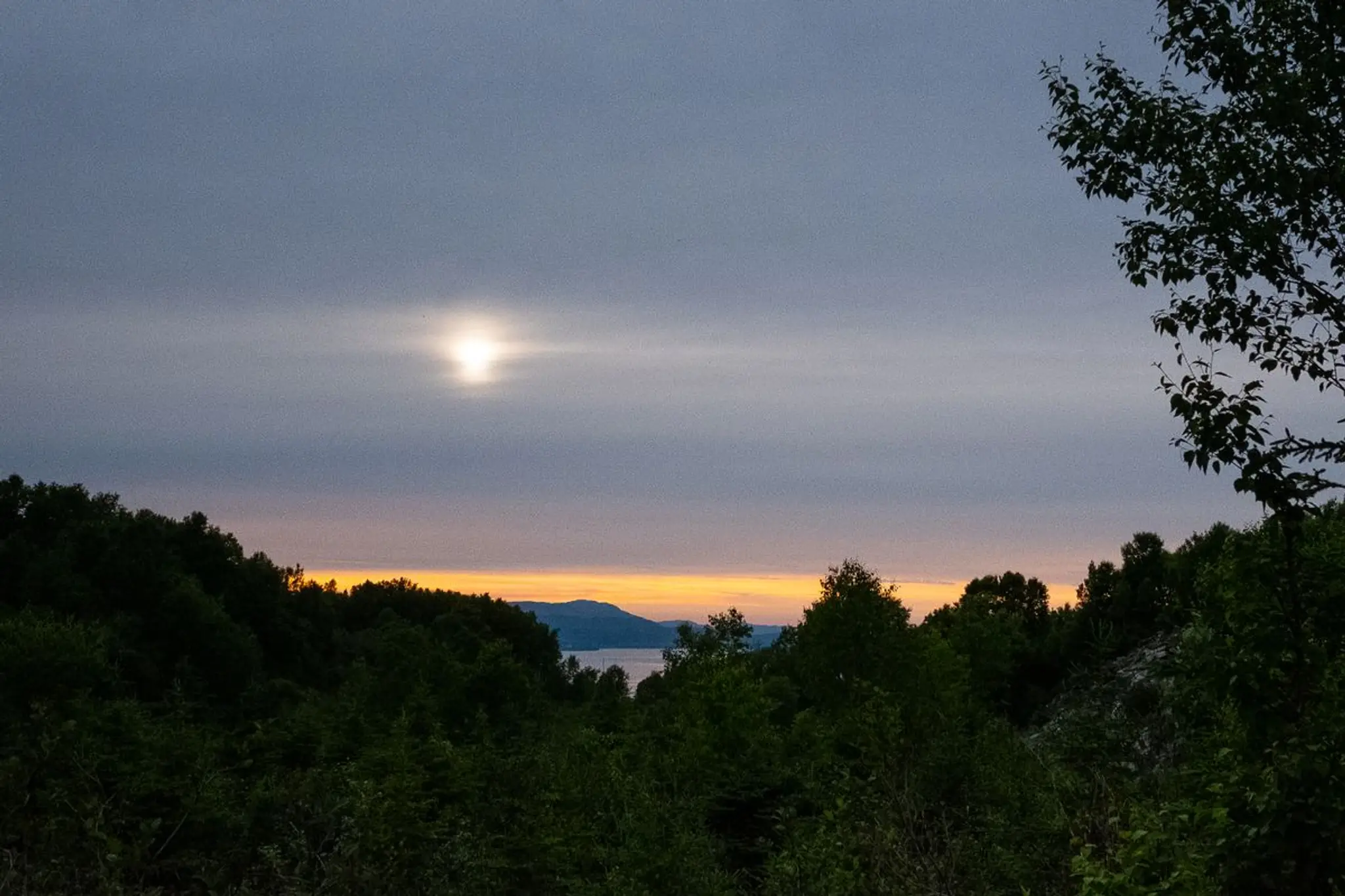 Corner Brook Disc Golf Course