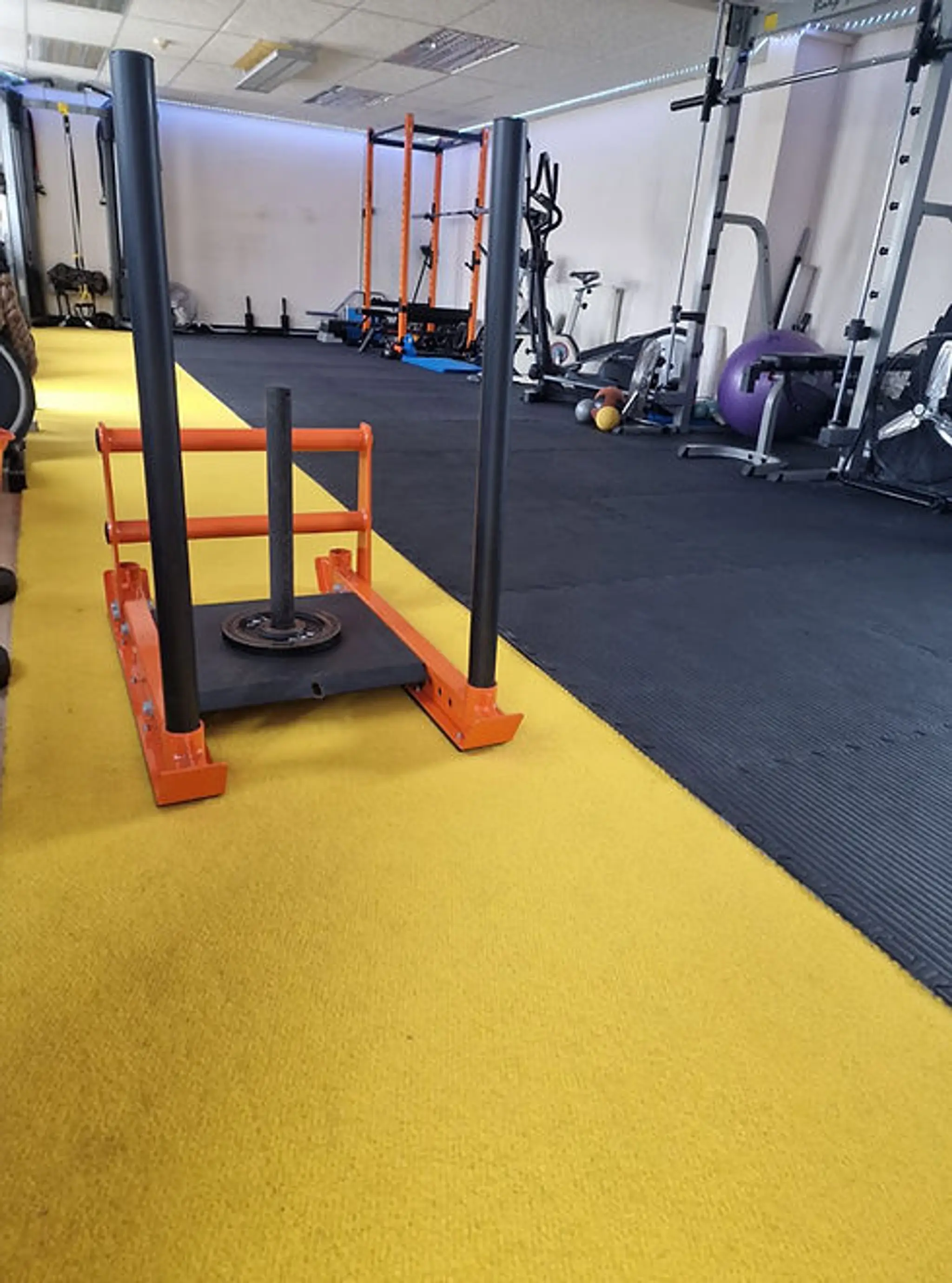 Infinite Fitness & Biomechanics