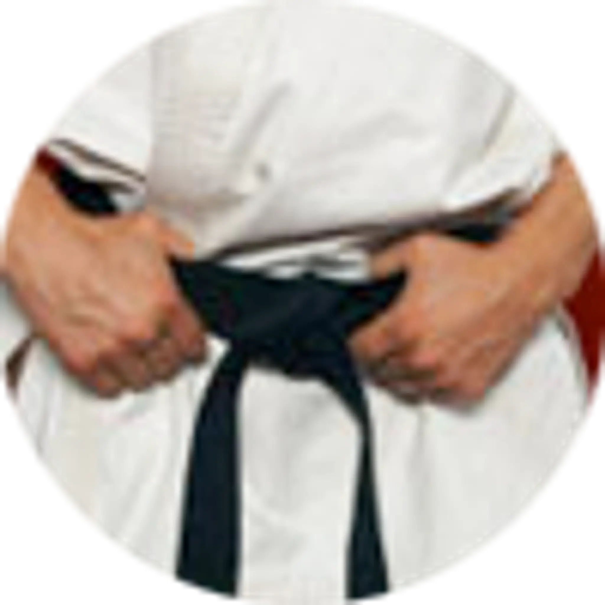 Goju Kai Karate Bayside