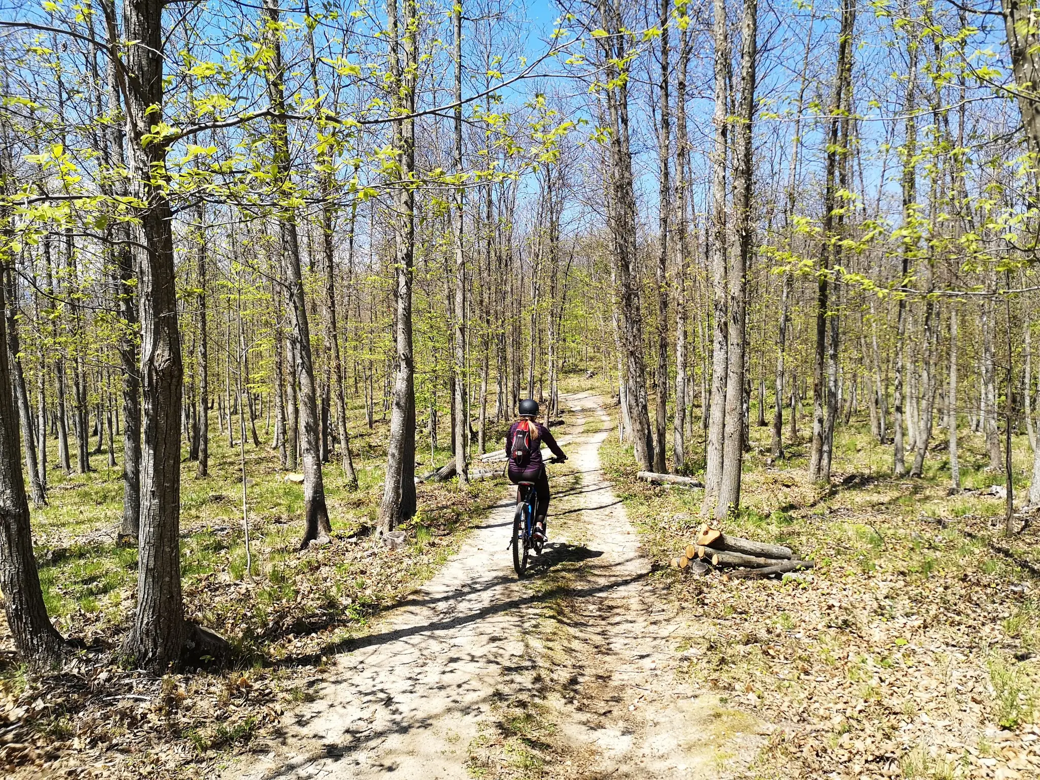 VTT FFC