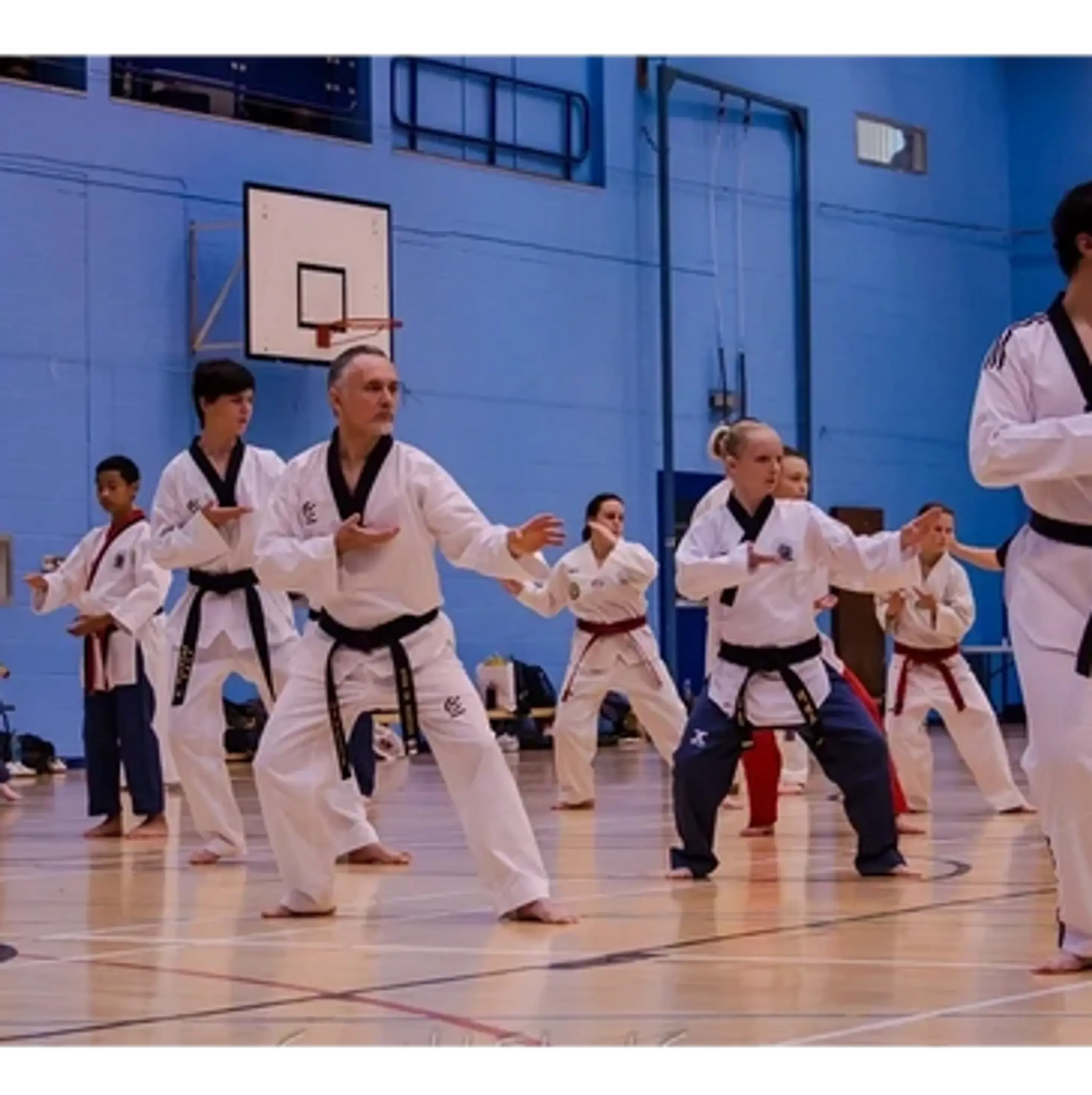 Bath SKY Olympic Taekwondo