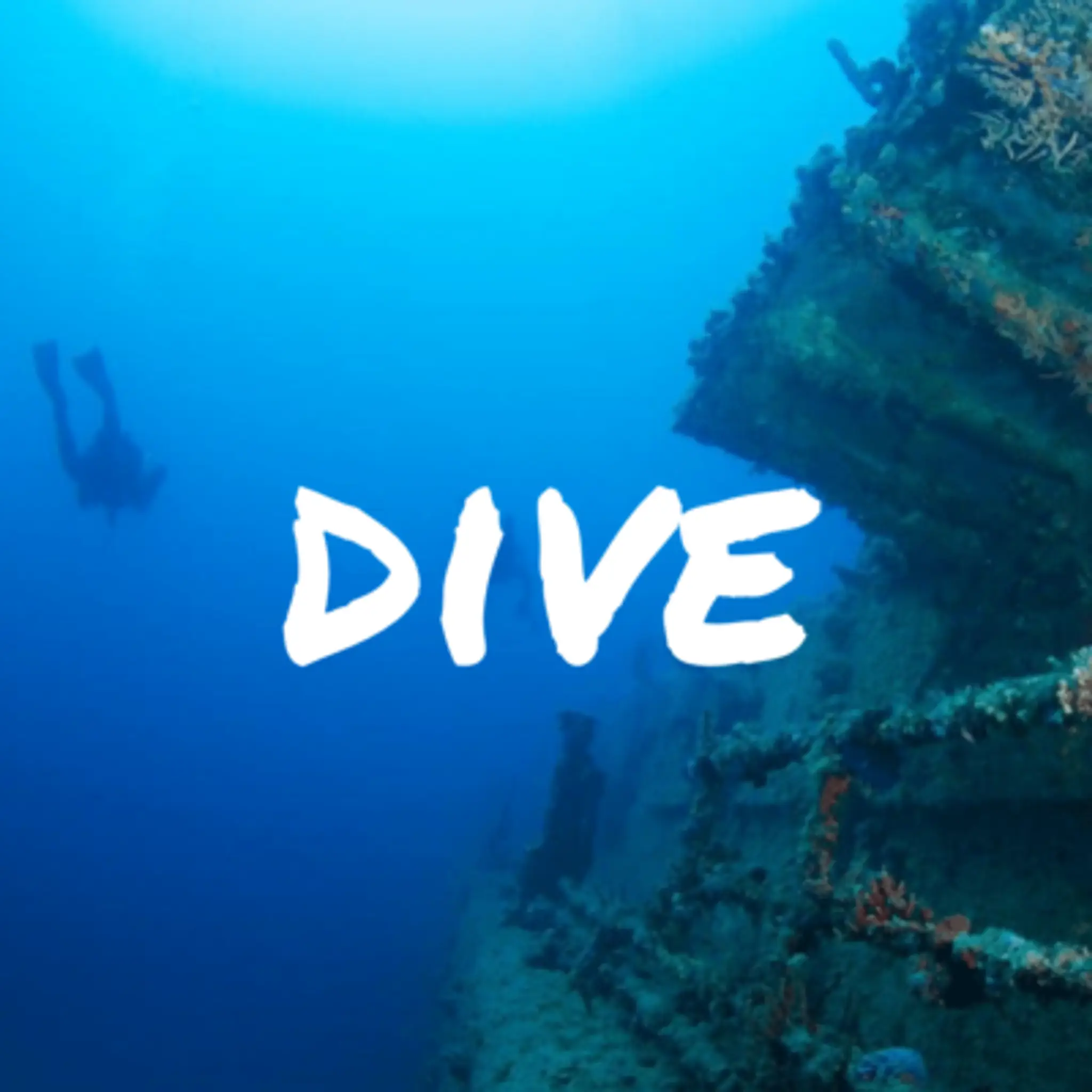 Swan Dive Busselton & Dunsborough