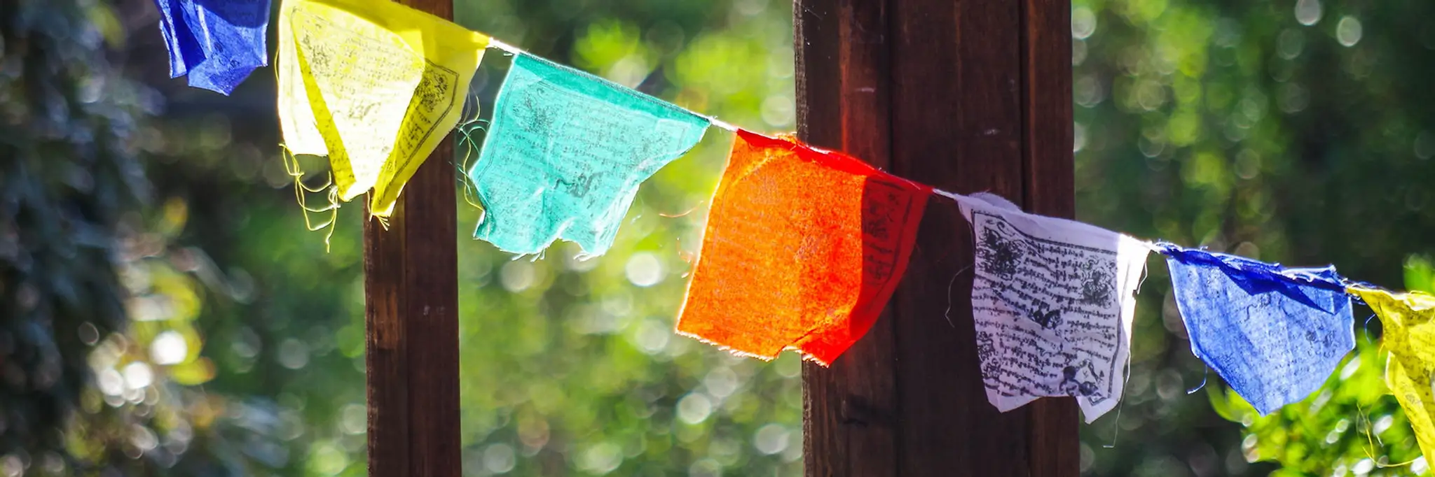 Twilight Yoga Studio & Retreats