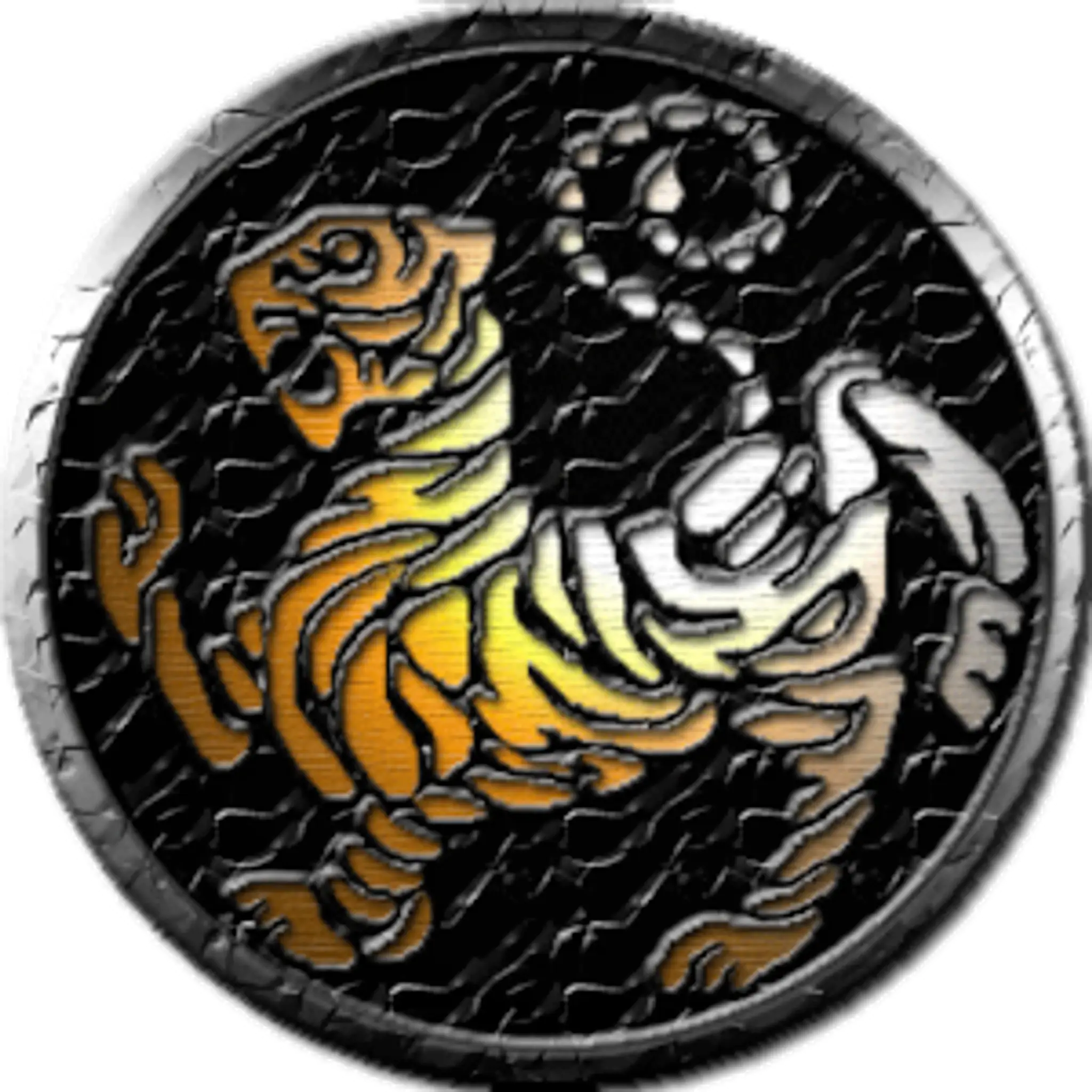 Karate Club Des Villes De Berck Et Verton