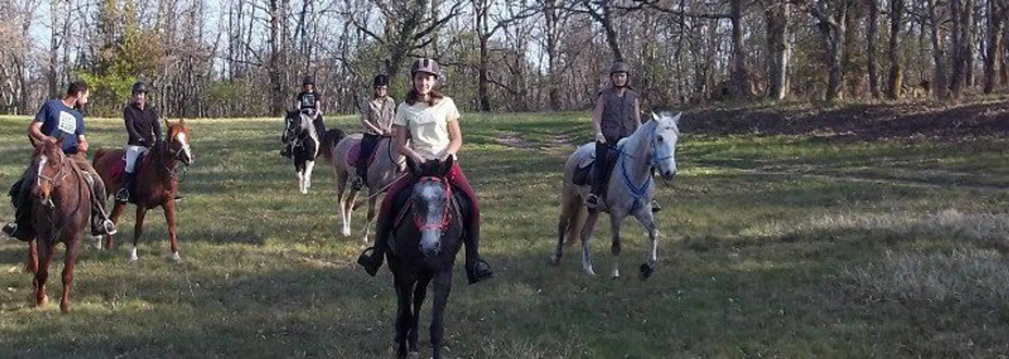 Farm Equestre De La Grésigne