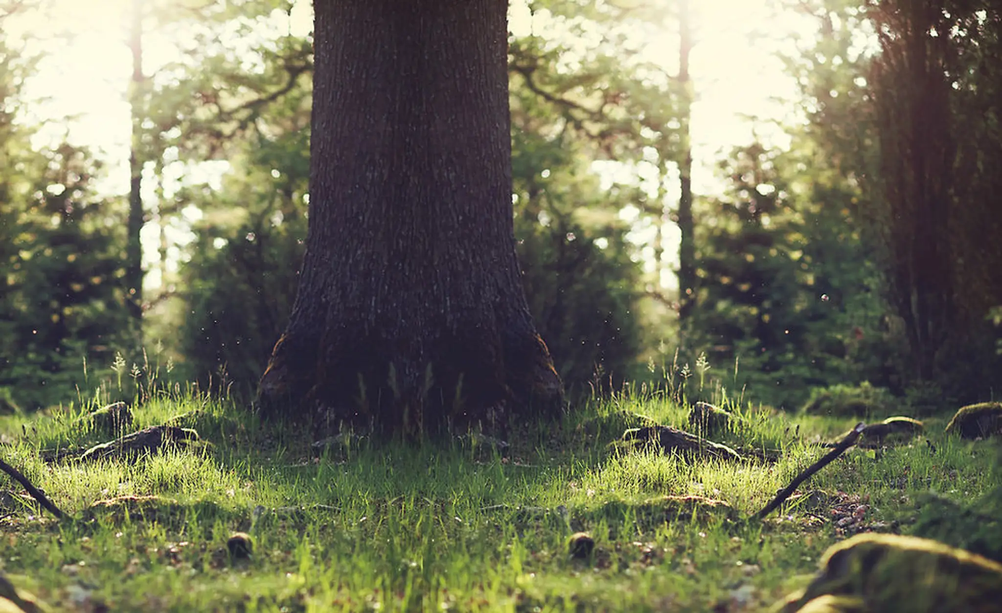 Peggy's pasture camping and glamping site