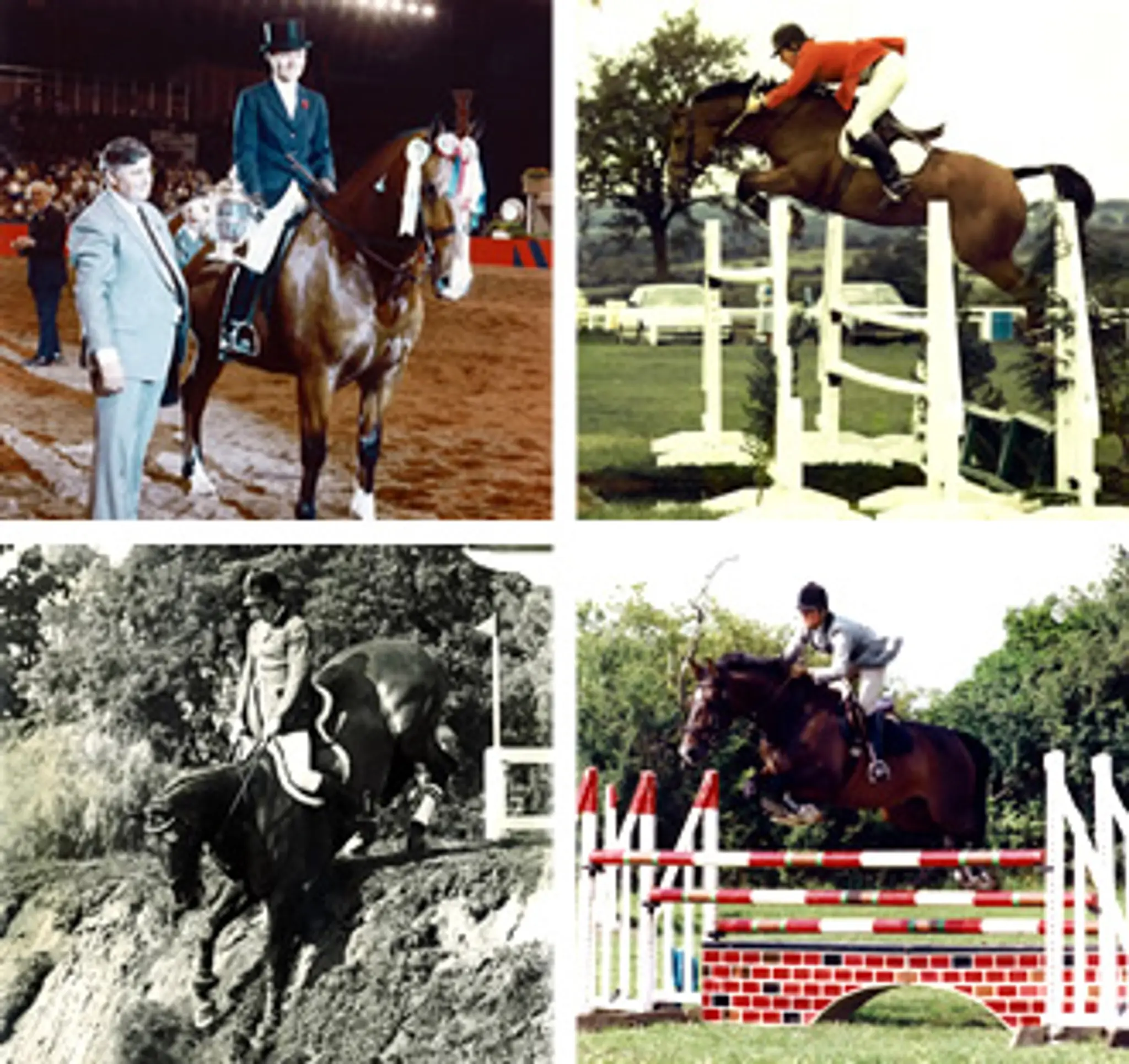 Ferneyhough R J & A M