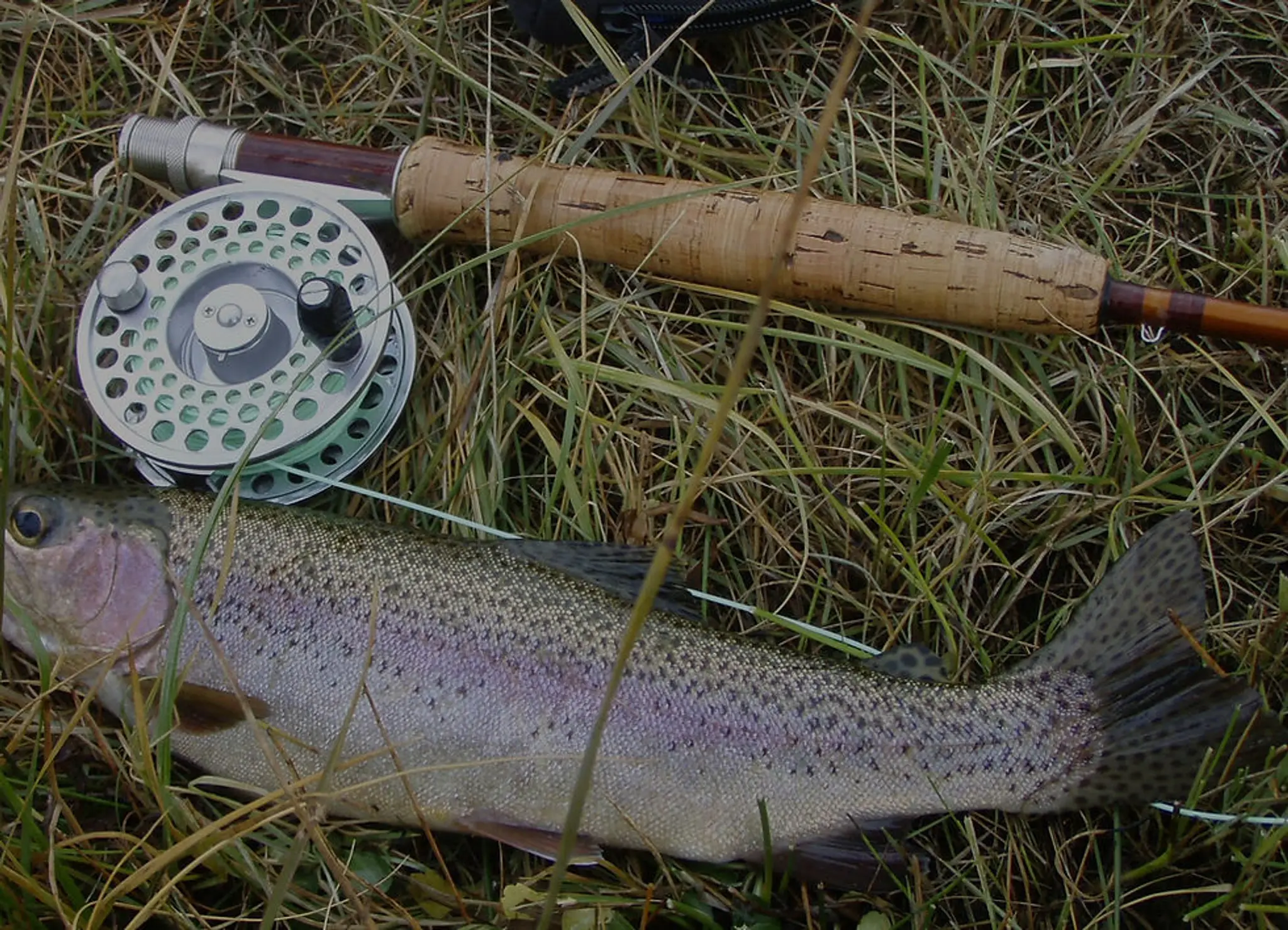 Fast Action Fishing Adventures