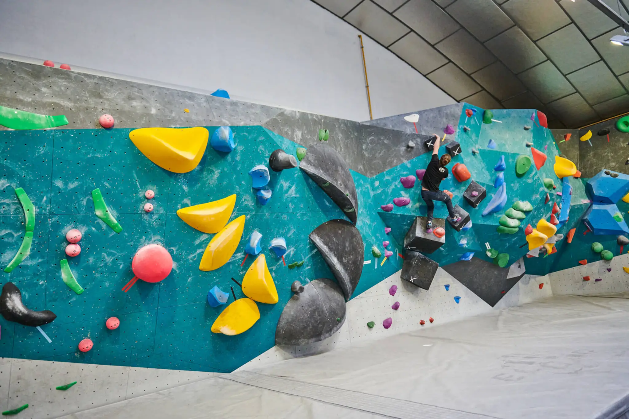 El Cap Salle D'escalade -