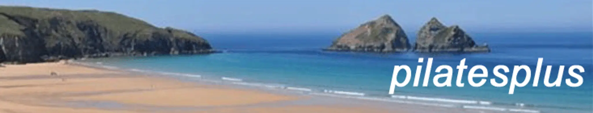 Pilates Plus