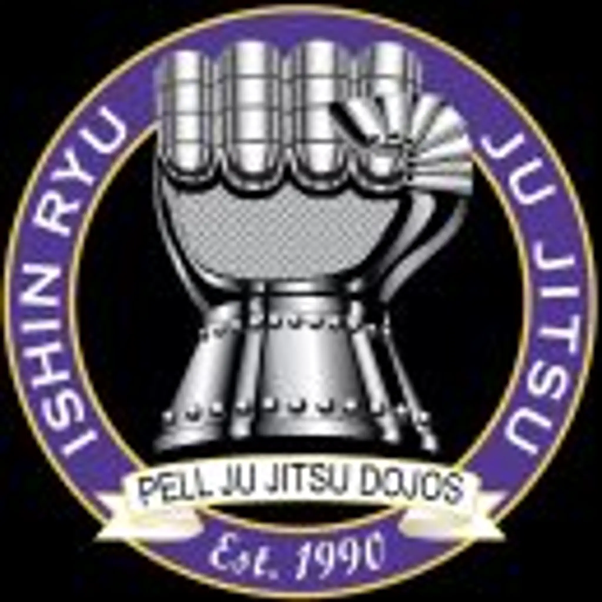 Ishin Ryu Ju Jitsu Borehamwood