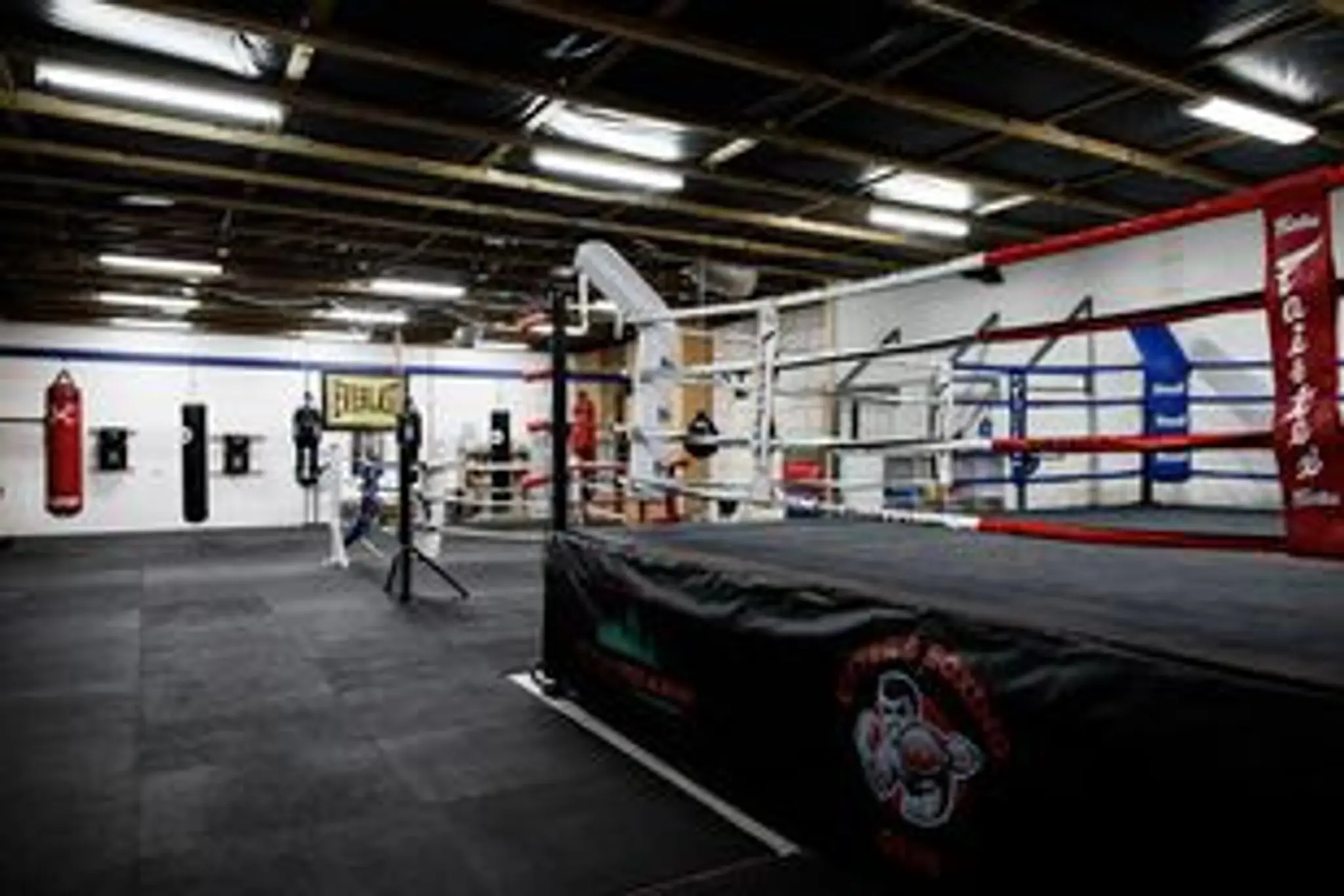 Dwyer's Boxing Club