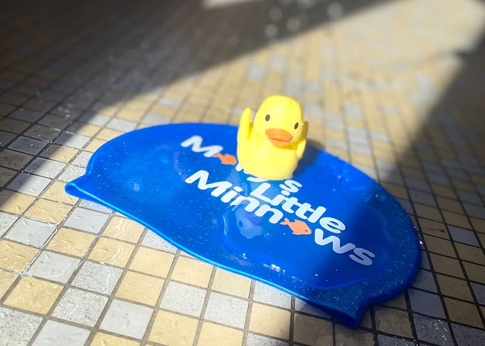 Mollys Little Minnows