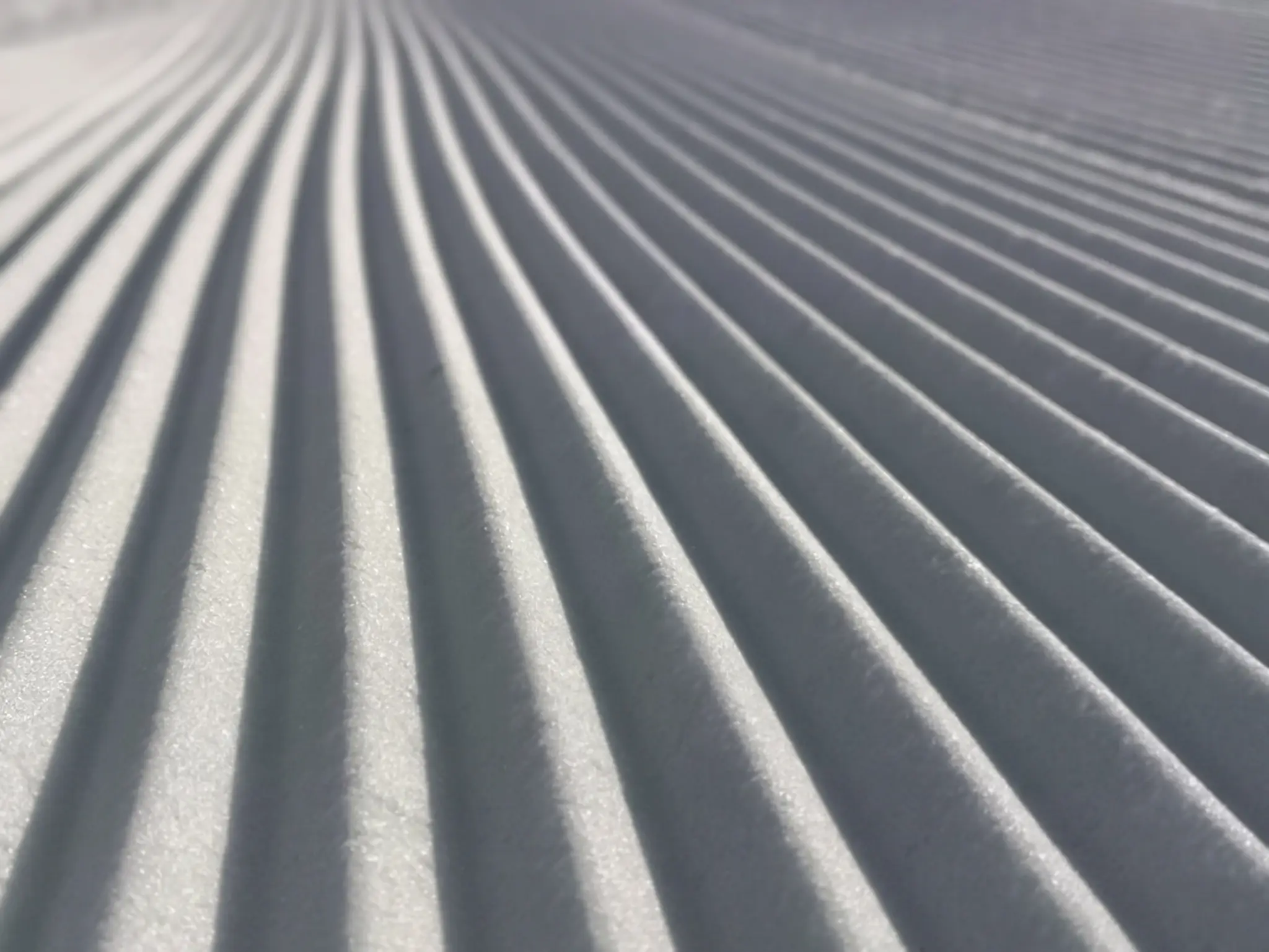 The Snow Institute