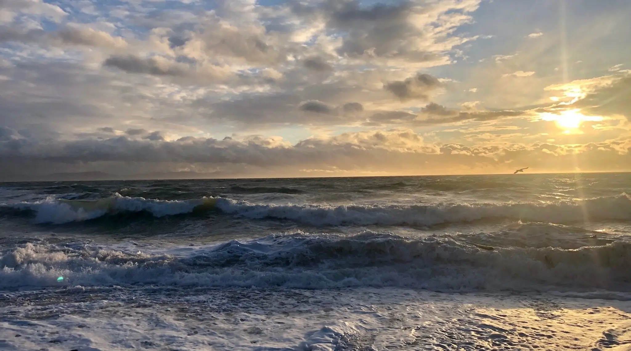 Strathcona Pilates & Wellness Collective