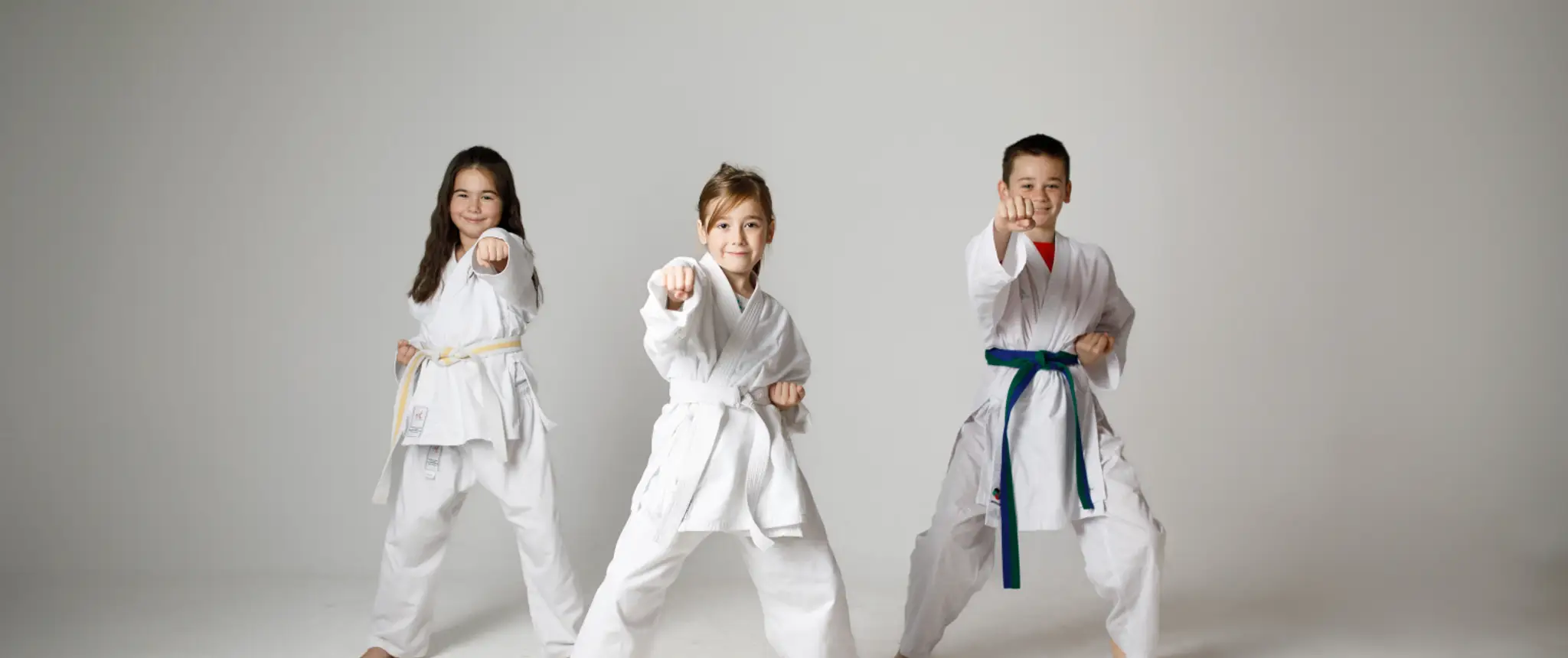 Volk Martial Arts