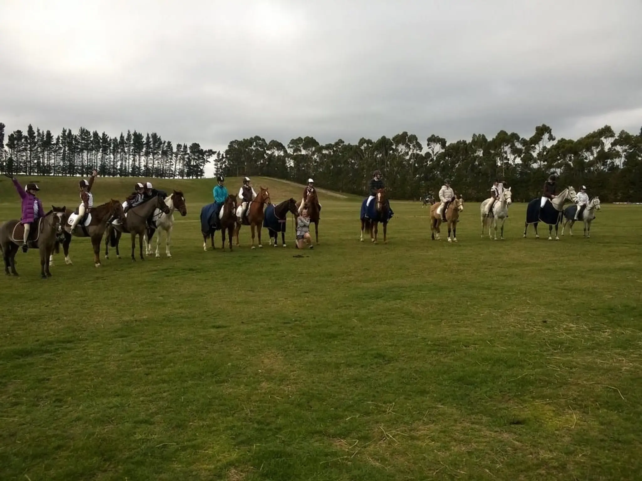 Roydvale Pony Club