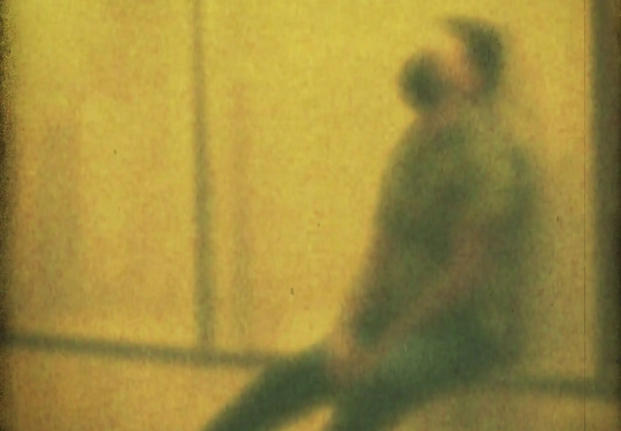 Ash Webster Personal Trainer & Wellness Coach Brighton & Hove