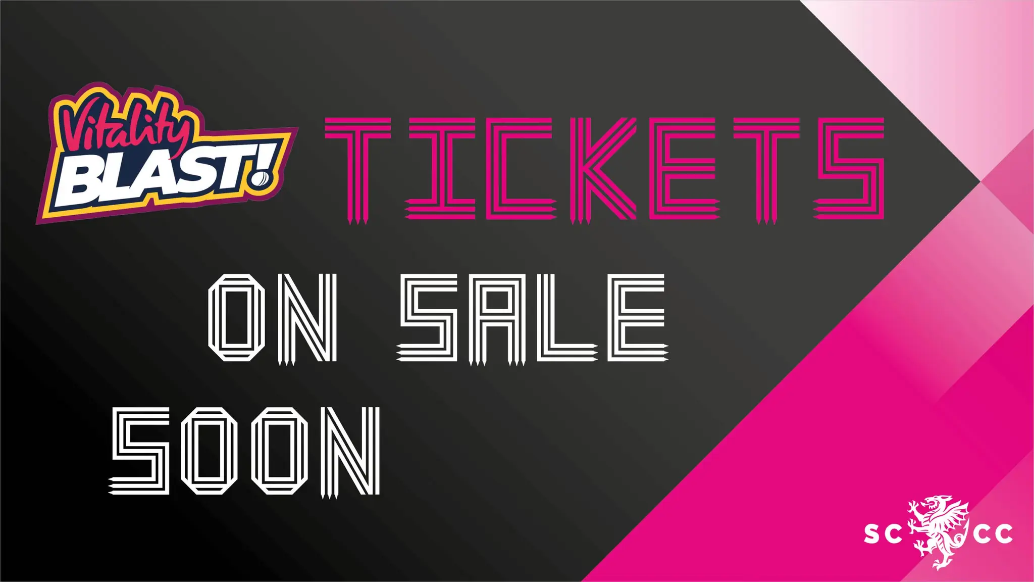 Somerset County Cricket Club