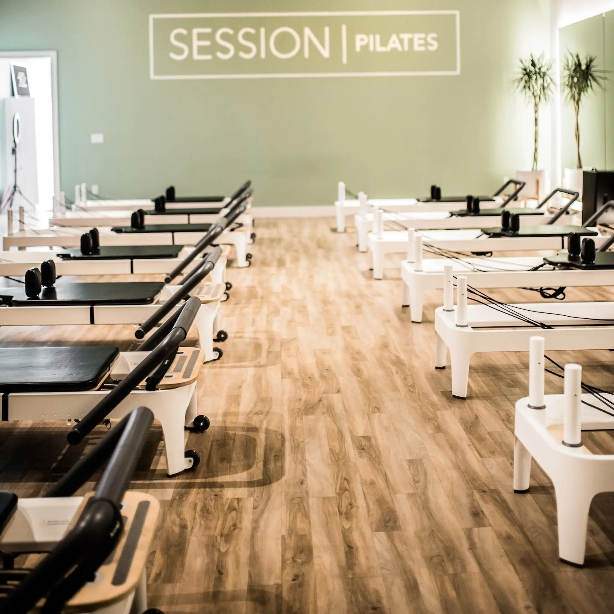 The Physio Doctor Brunswick