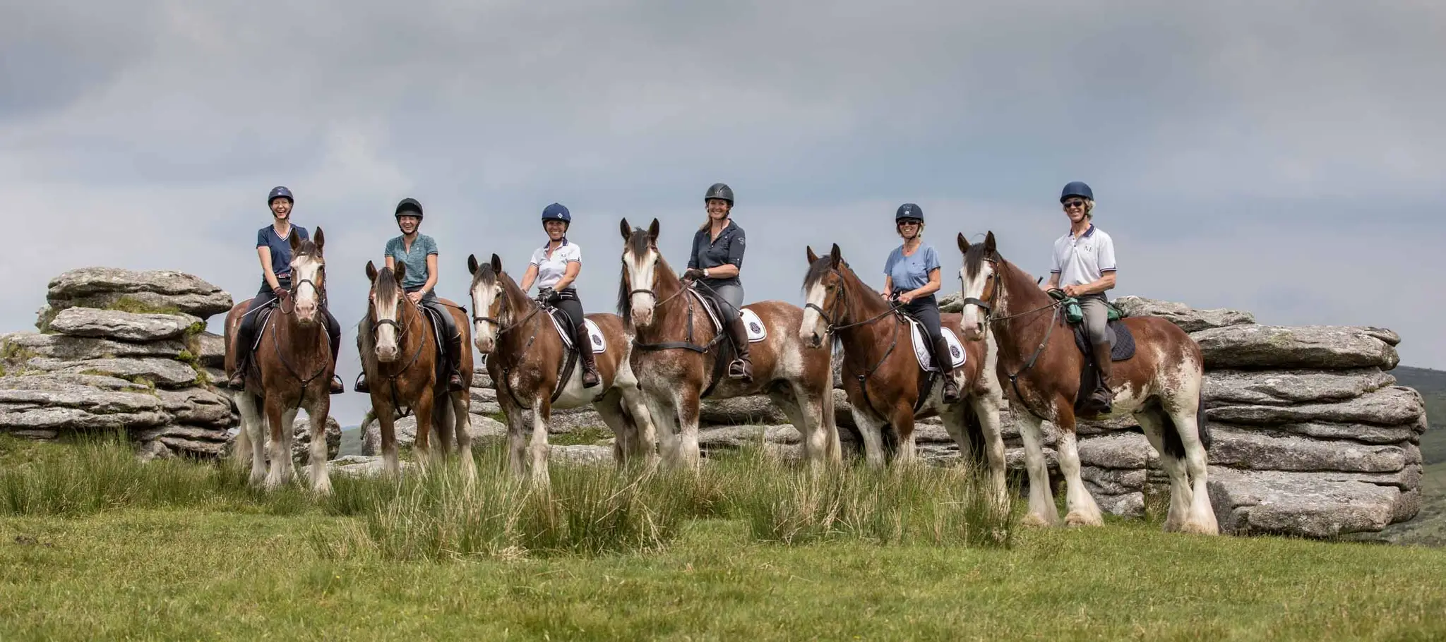 Adventure Clydesdale