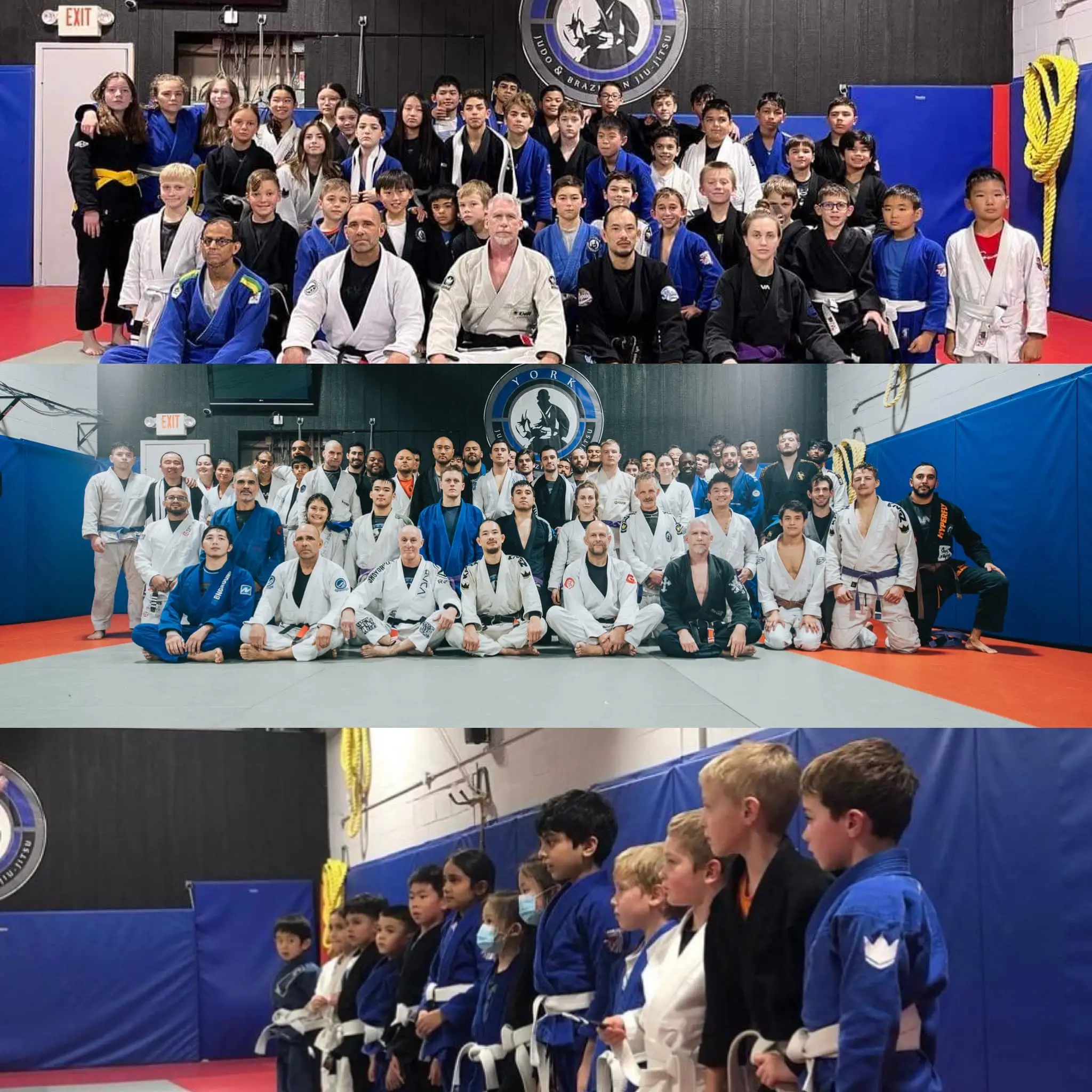 York Judo & BJJ