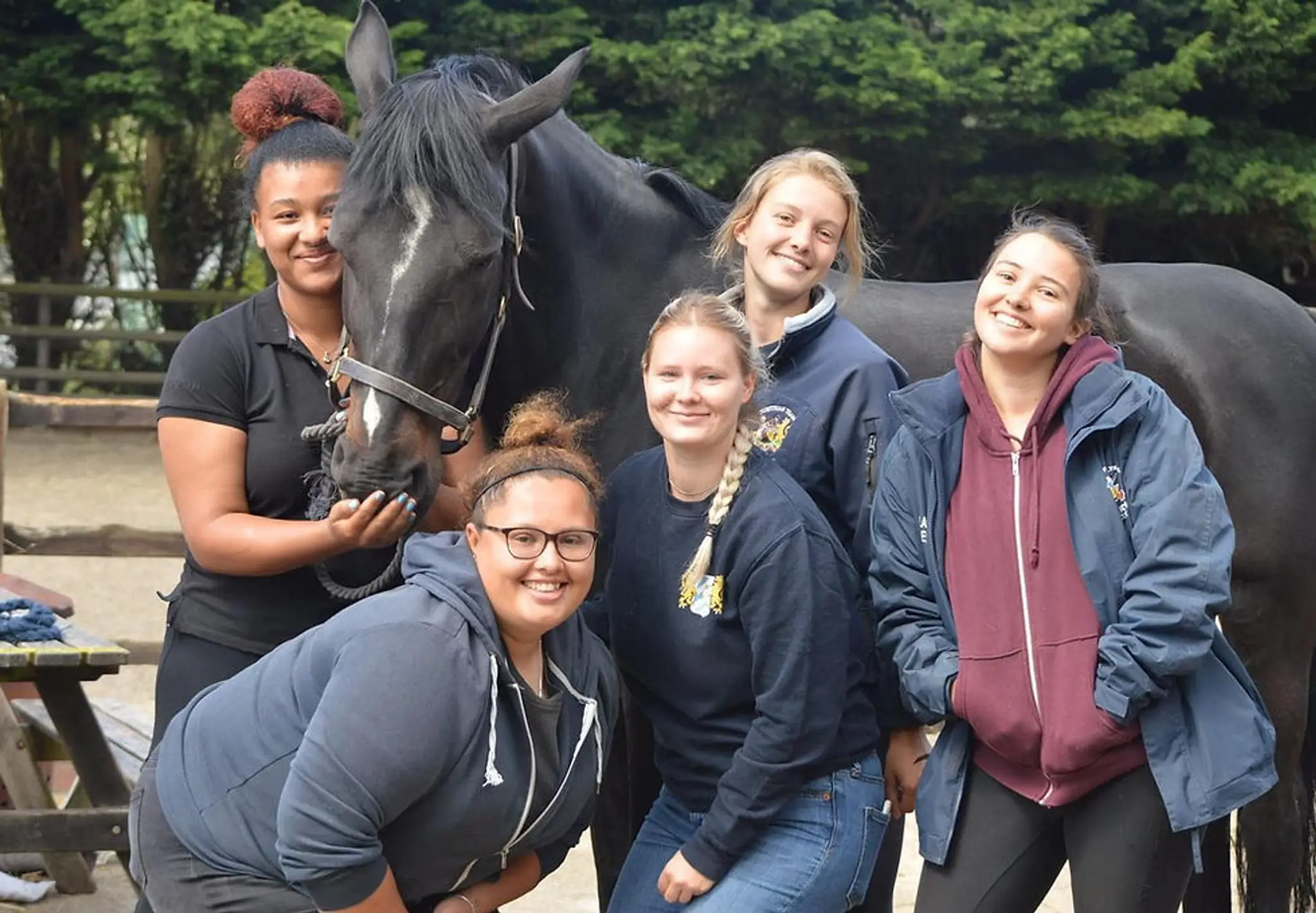 Dulwich Riding School